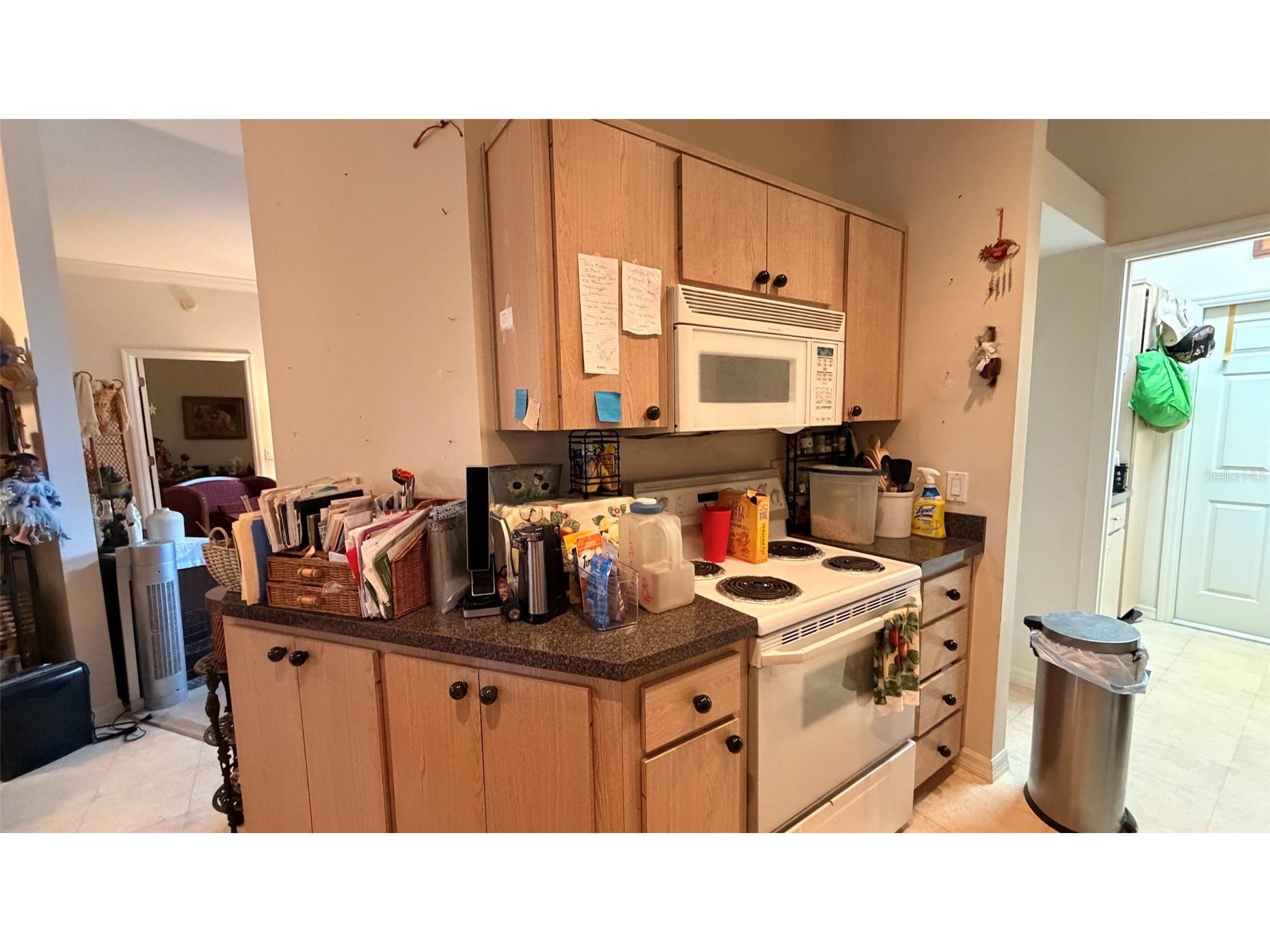 3671 E Arbor Lakes Drive Hernando FL 34442 TB8520842 image8