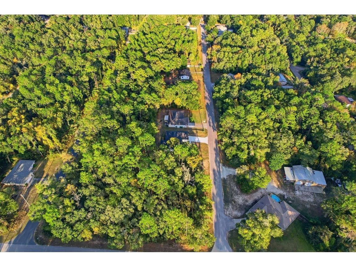 3671 E Ryan Street Inverness FL 34453 OM714385 image39