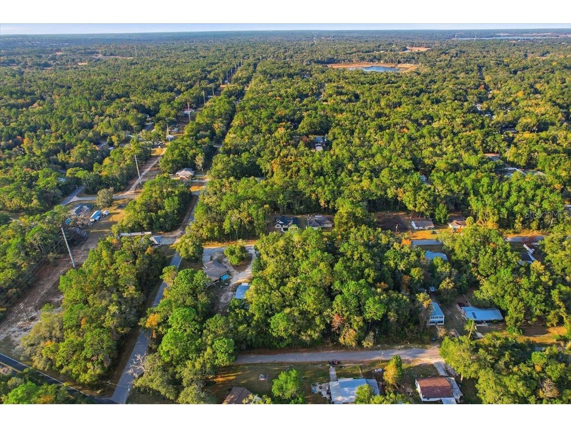 3671 E Ryan Street Inverness FL 34453 OM714385 image40