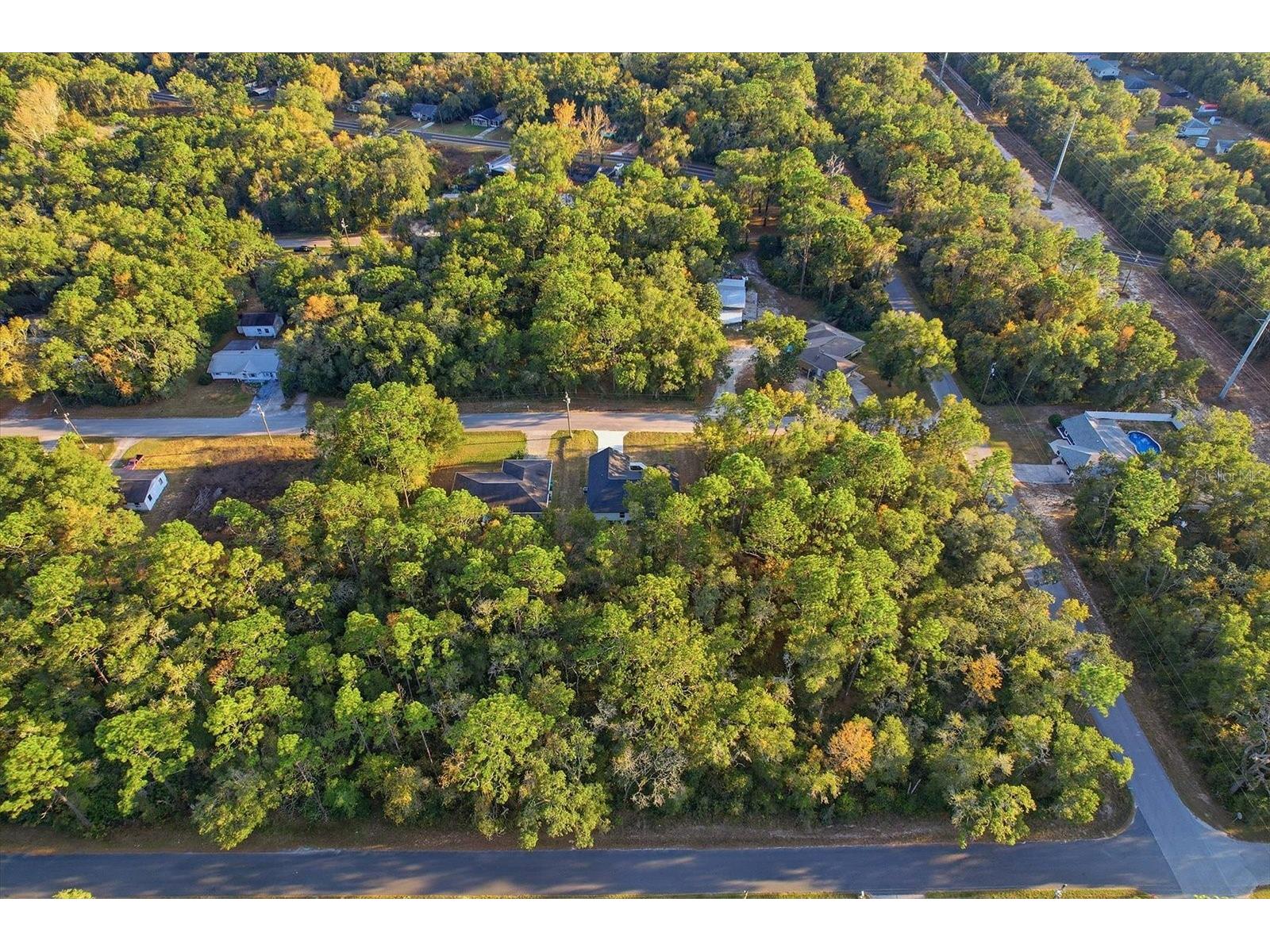 3671 E Ryan Street Inverness FL 34453 OM714385 image48