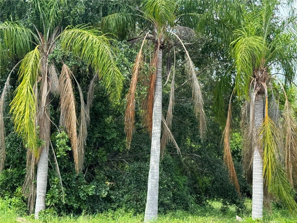 3671 Hialeah Road Venice FL 34293 N6133388 image10