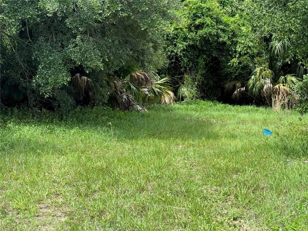 3671 Hialeah Road Venice FL 34293 N6133388 image3