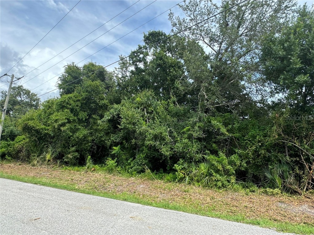 3671 Hialeah Road Venice FL 34293 N6133388 image8