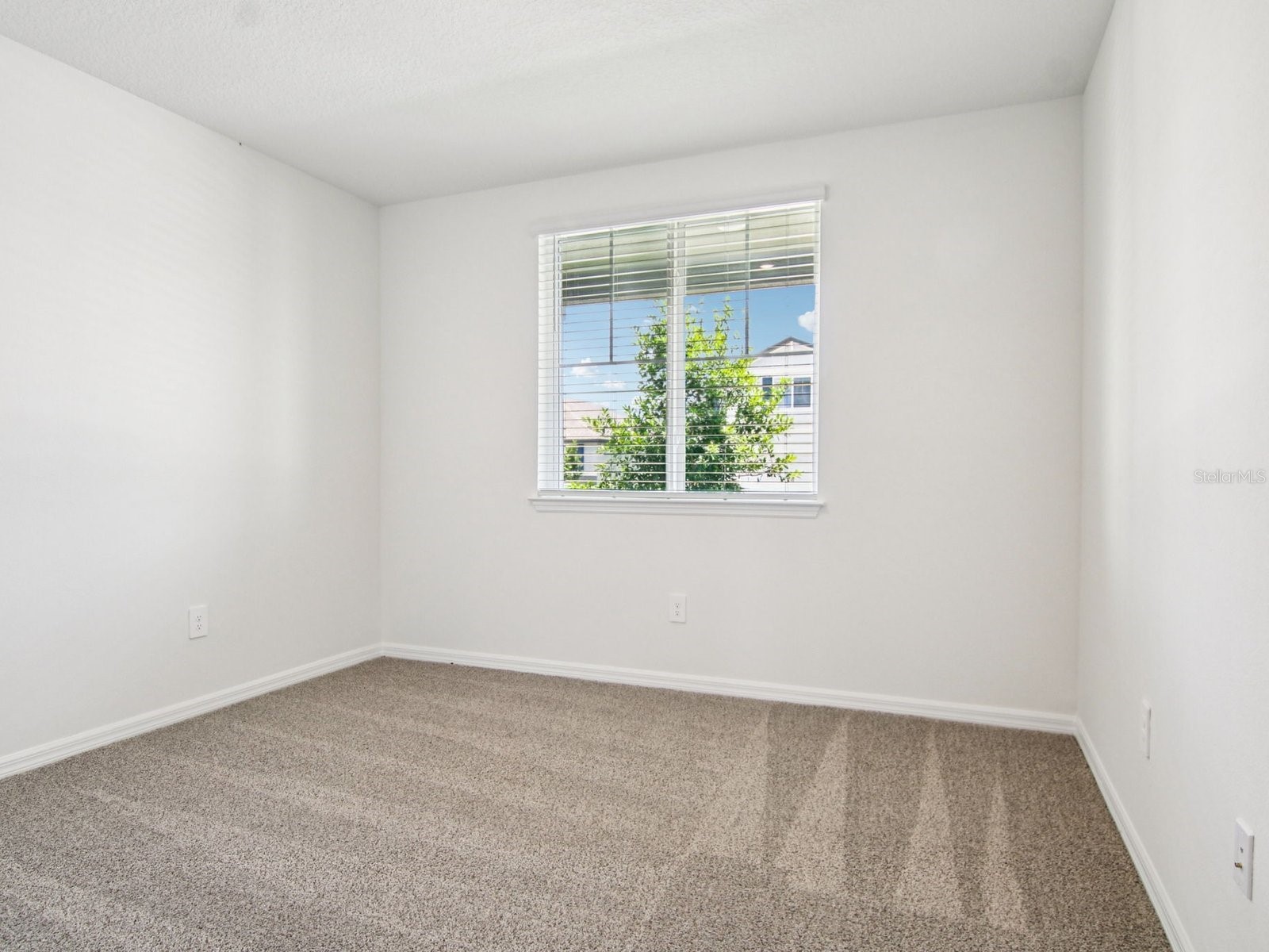 36712 Melstone Way Zephyrhills FL 33541 TB8489335 image8