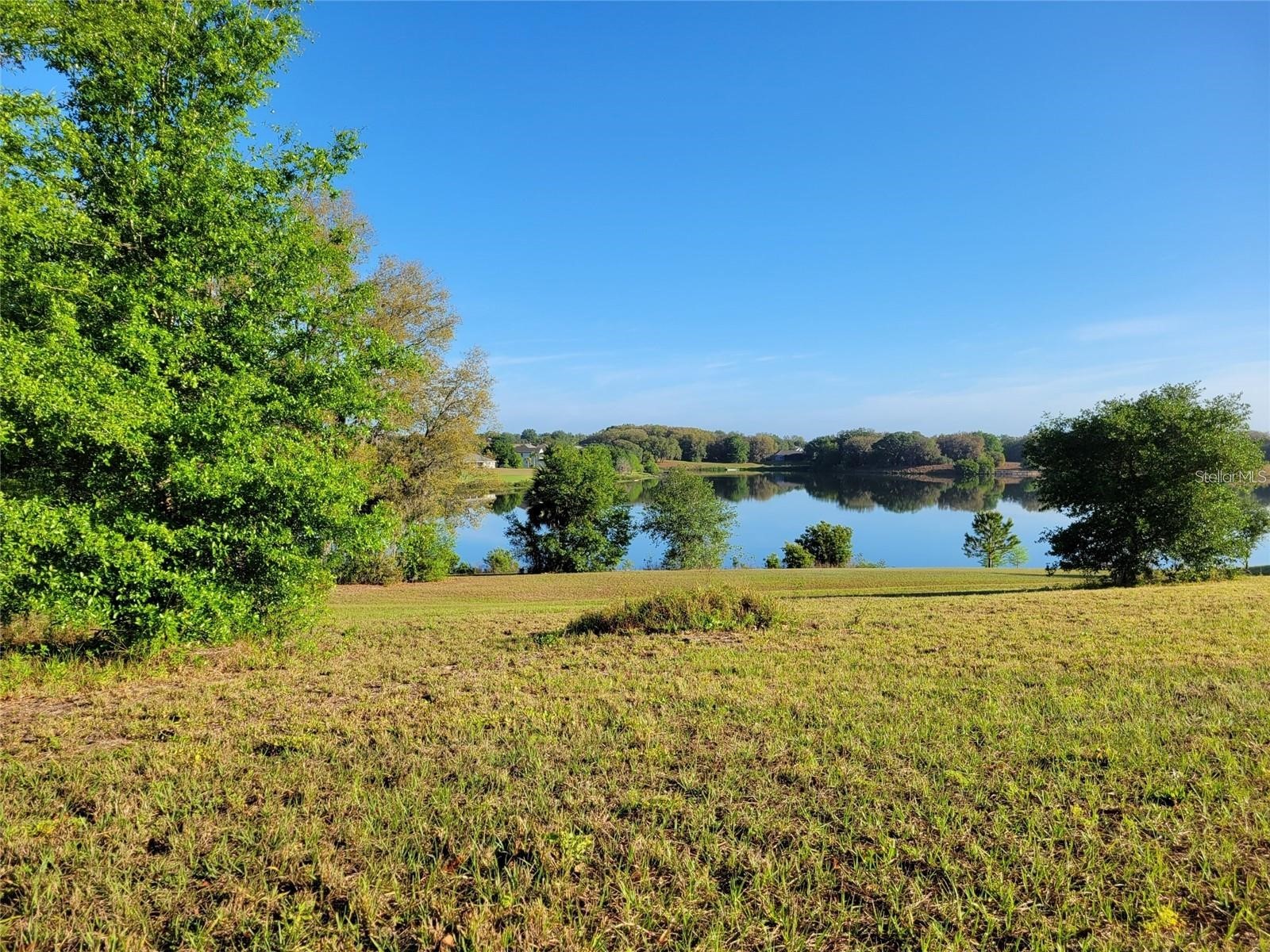 36717 Barrington Drive Eustis FL 32736 O6388589 image29