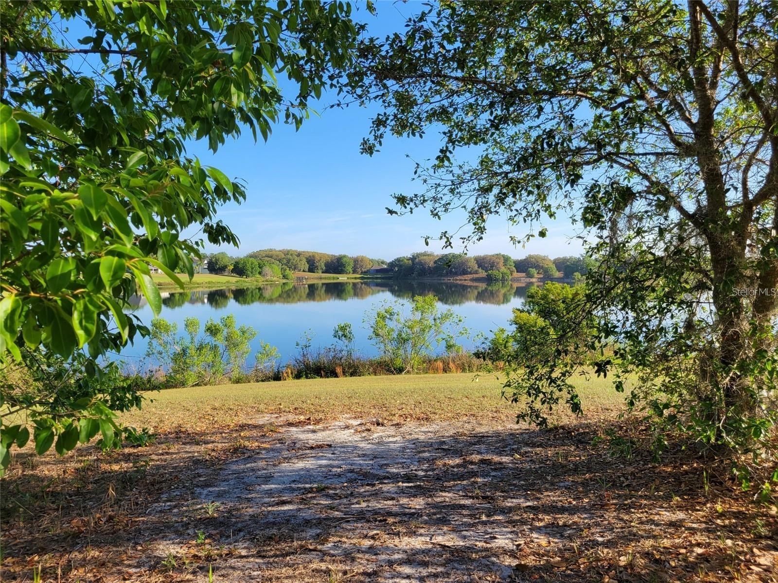 36717 Barrington Drive Eustis FL 32736 O6388589 image3