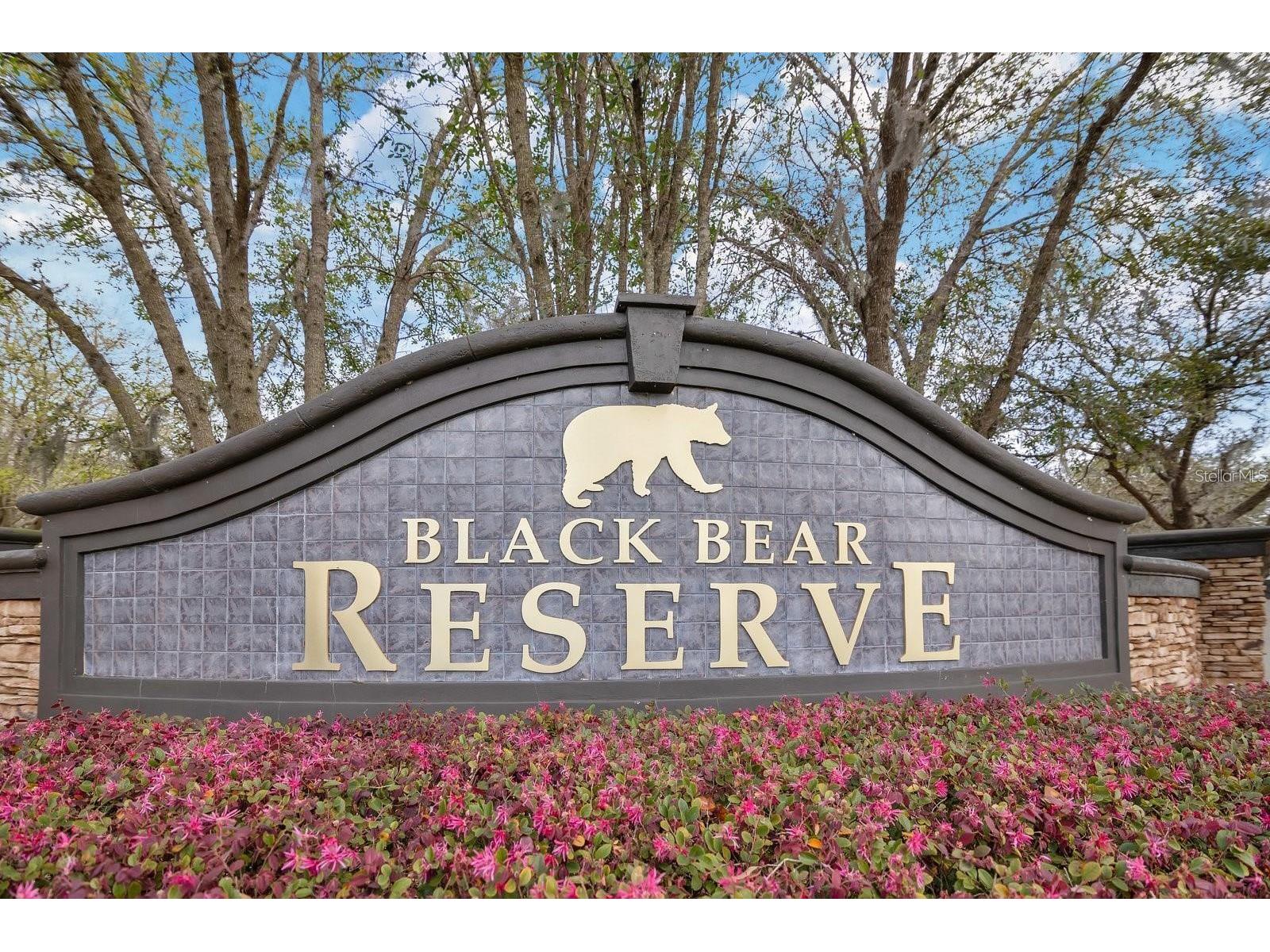 36717 Barrington Drive Eustis FL 32736 O6388589 image6