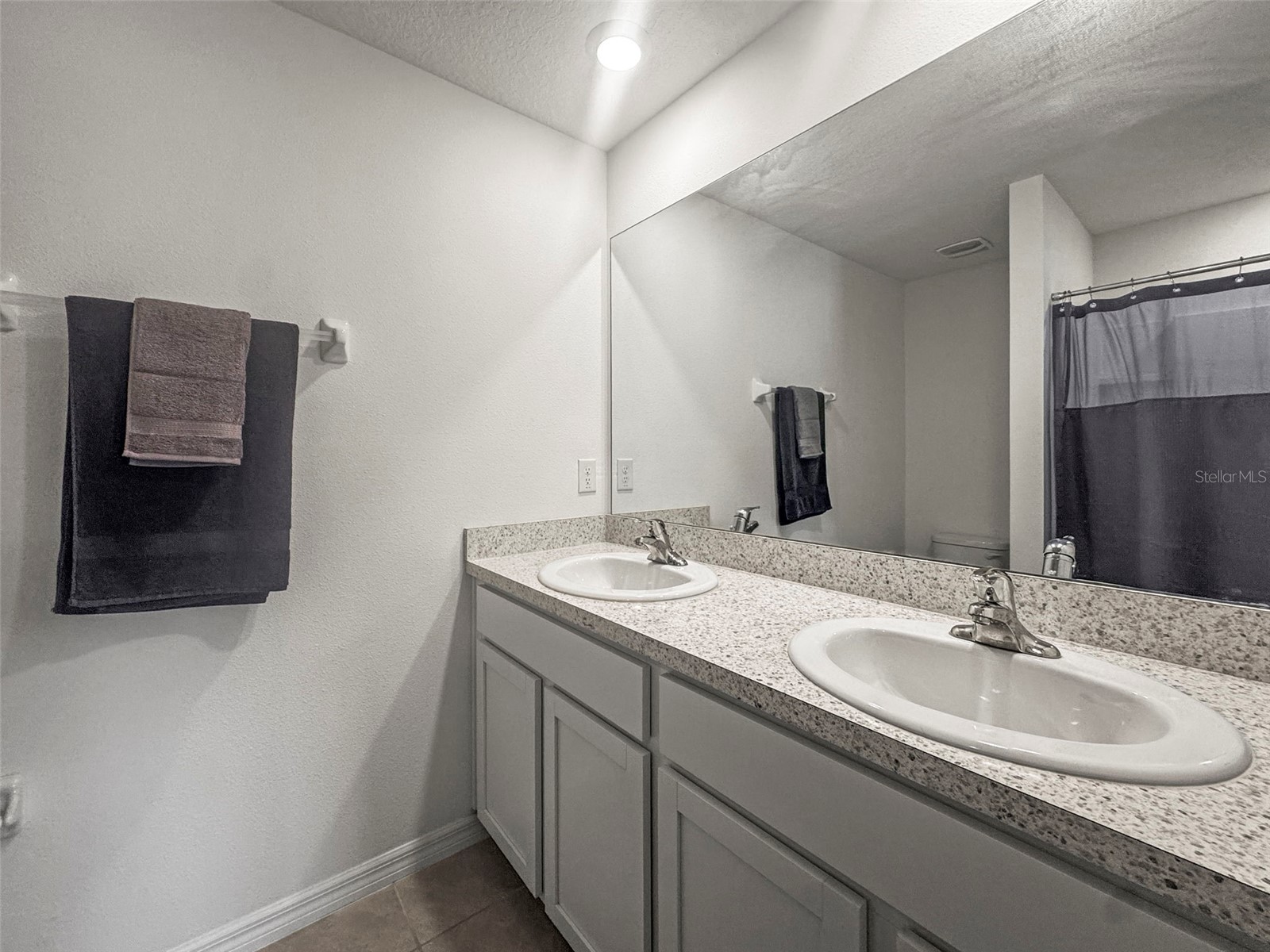 36719 Spanish Rose Drive Dade City FL 33525 TB8513618 image19
