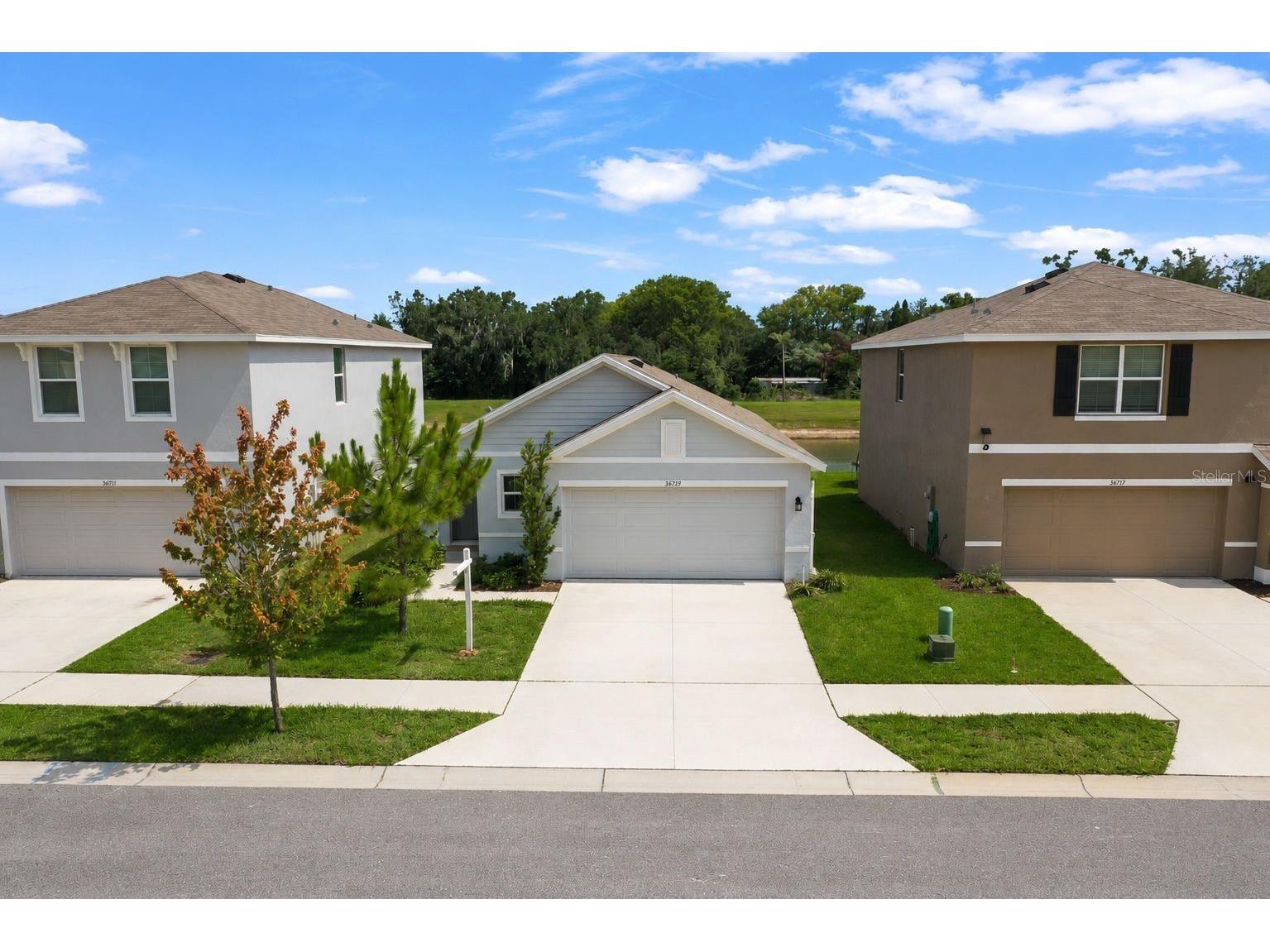 36719 Spanish Rose Drive Dade City FL 33525 TB8513618 image2