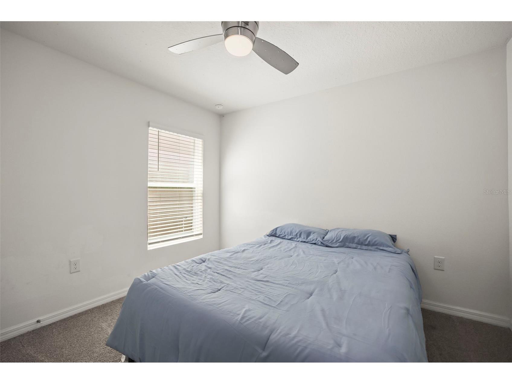 36719 Spanish Rose Drive Dade City FL 33525 TB8513618 image22