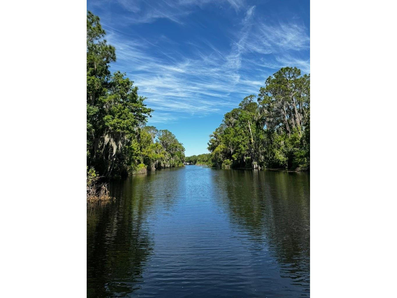 3672 Hidden River Lane Tavares FL 32778 - CANAL HARRIS CHAIN OF LAKES S5143673 image18