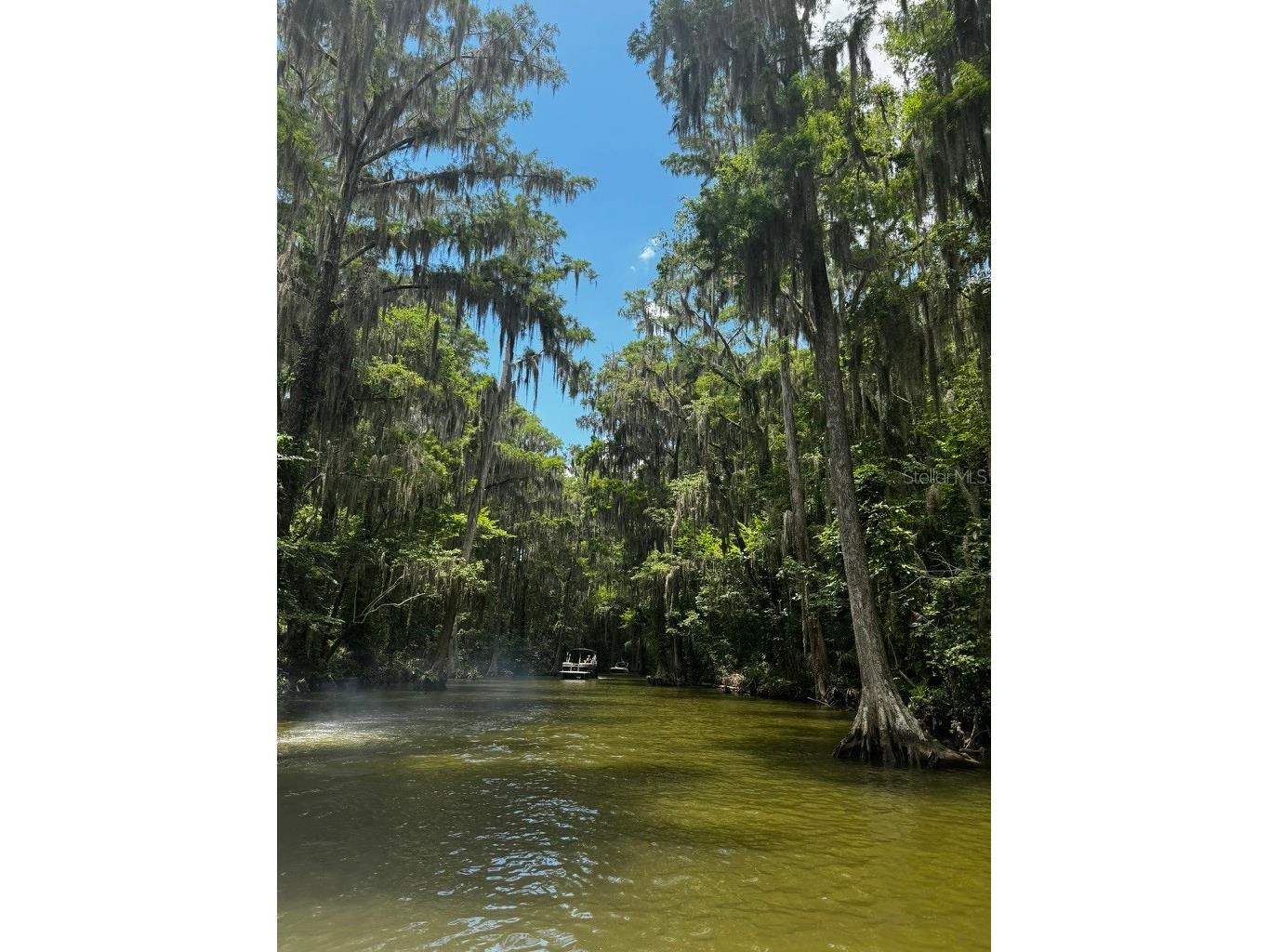 3672 Hidden River Lane Tavares FL 32778 - CANAL HARRIS CHAIN OF LAKES S5143673 image24