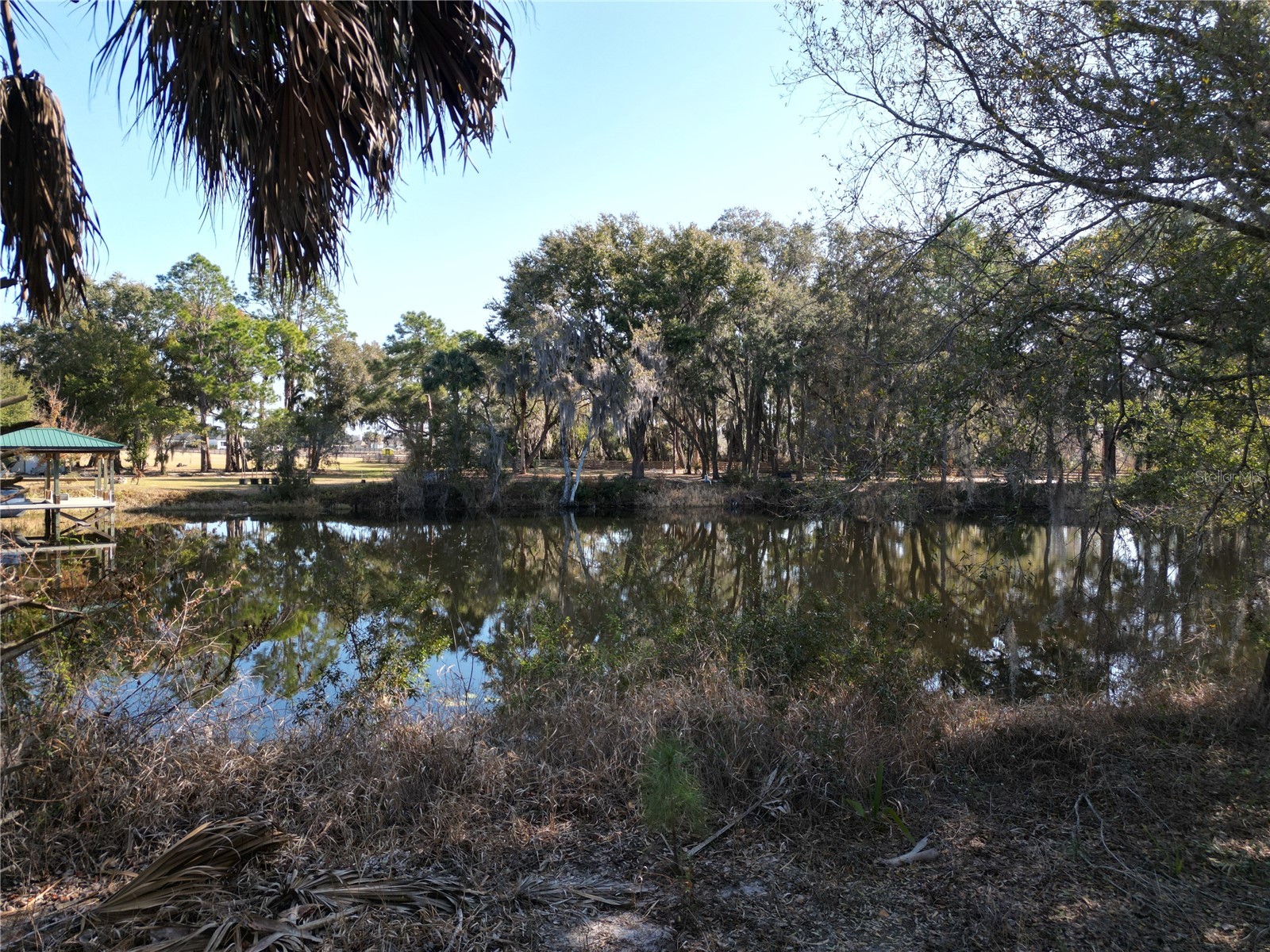 3672 Hidden River Lane Tavares FL 32778 - CANAL HARRIS CHAIN OF LAKES S5143673 image5