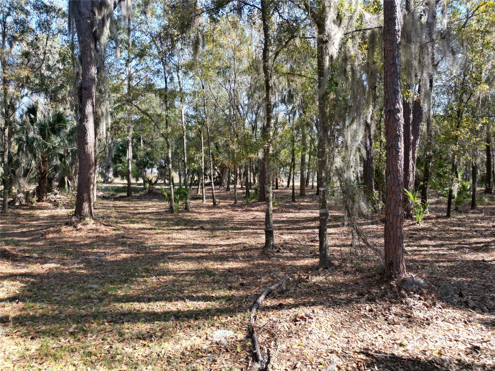 3672 Hidden River Lane Tavares FL 32778 - CANAL HARRIS CHAIN OF LAKES S5143673 image7