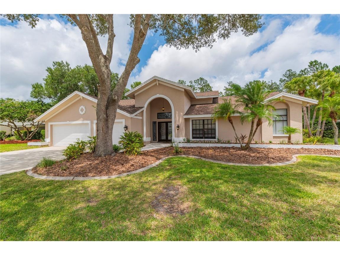 3672 Windber Boulevard Palm Harbor FL 34685 U8203716 image1