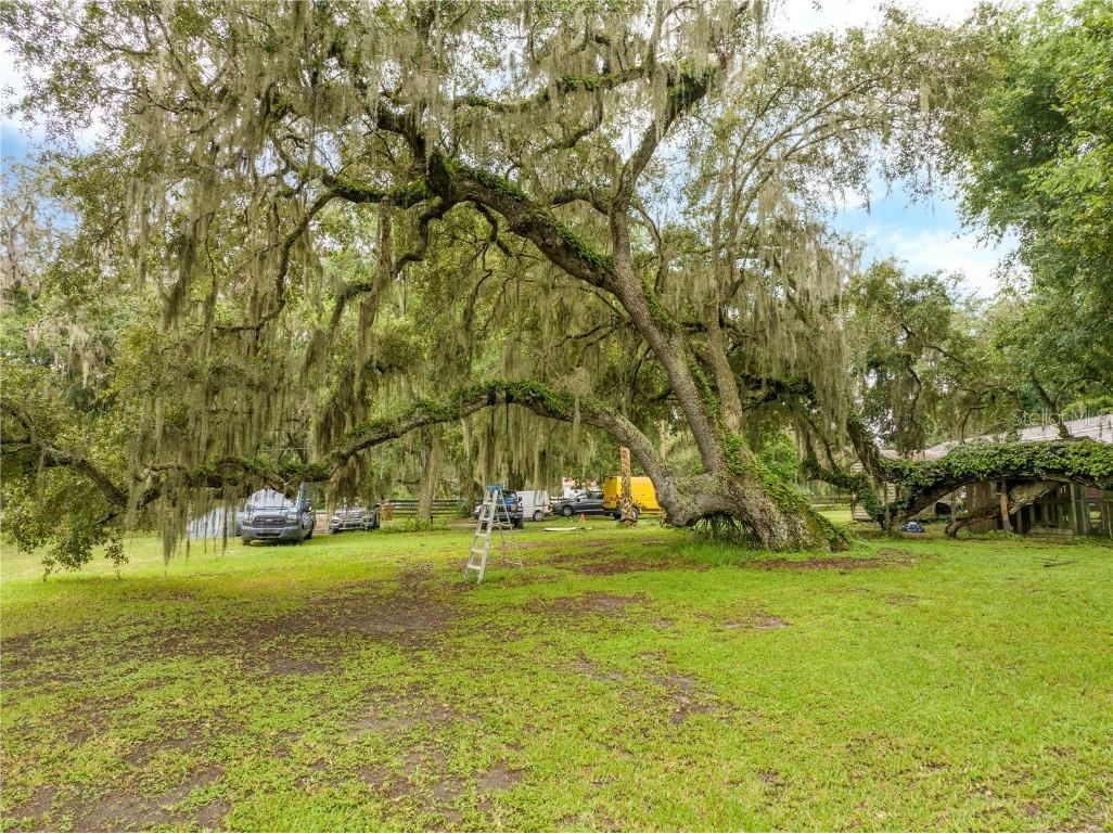 36720 Emeralda Island Road Leesburg FL 34788 O6325211 image37