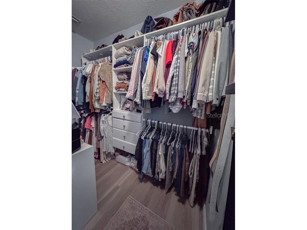 36721 Goffaux Loop Zephyrhills FL 33541 TB8447672 image16