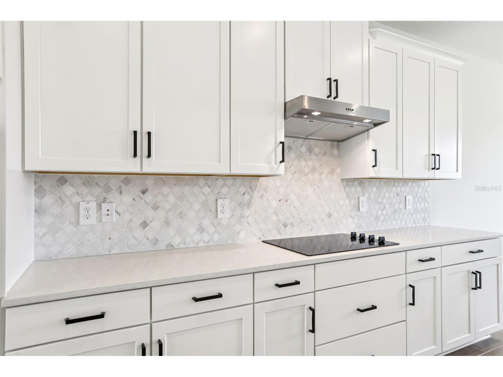 36724 Melstone Way Zephyrhills FL 33541 O6377590 image20