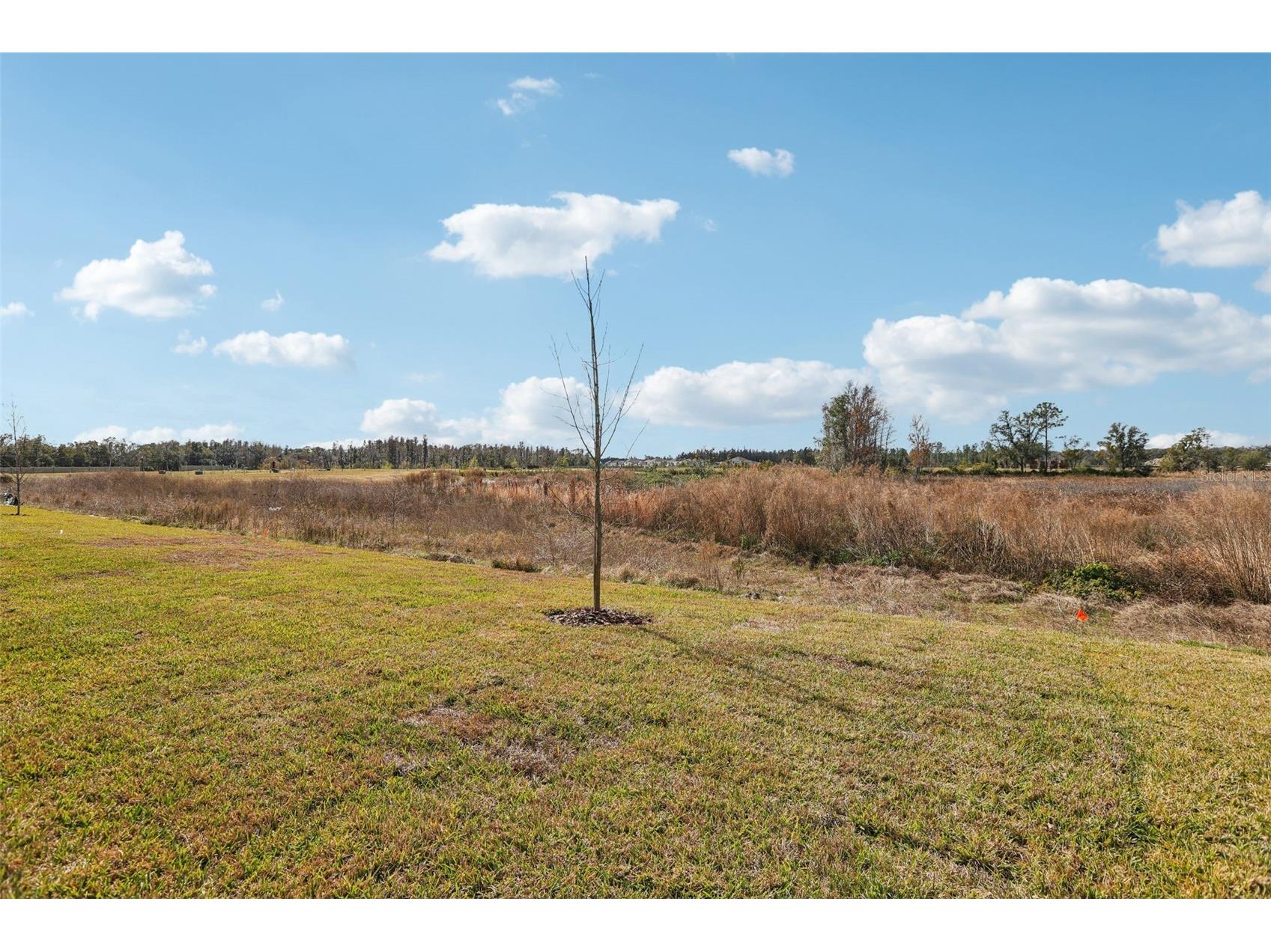 36724 Melstone Way Zephyrhills FL 33541 O6377590 image54