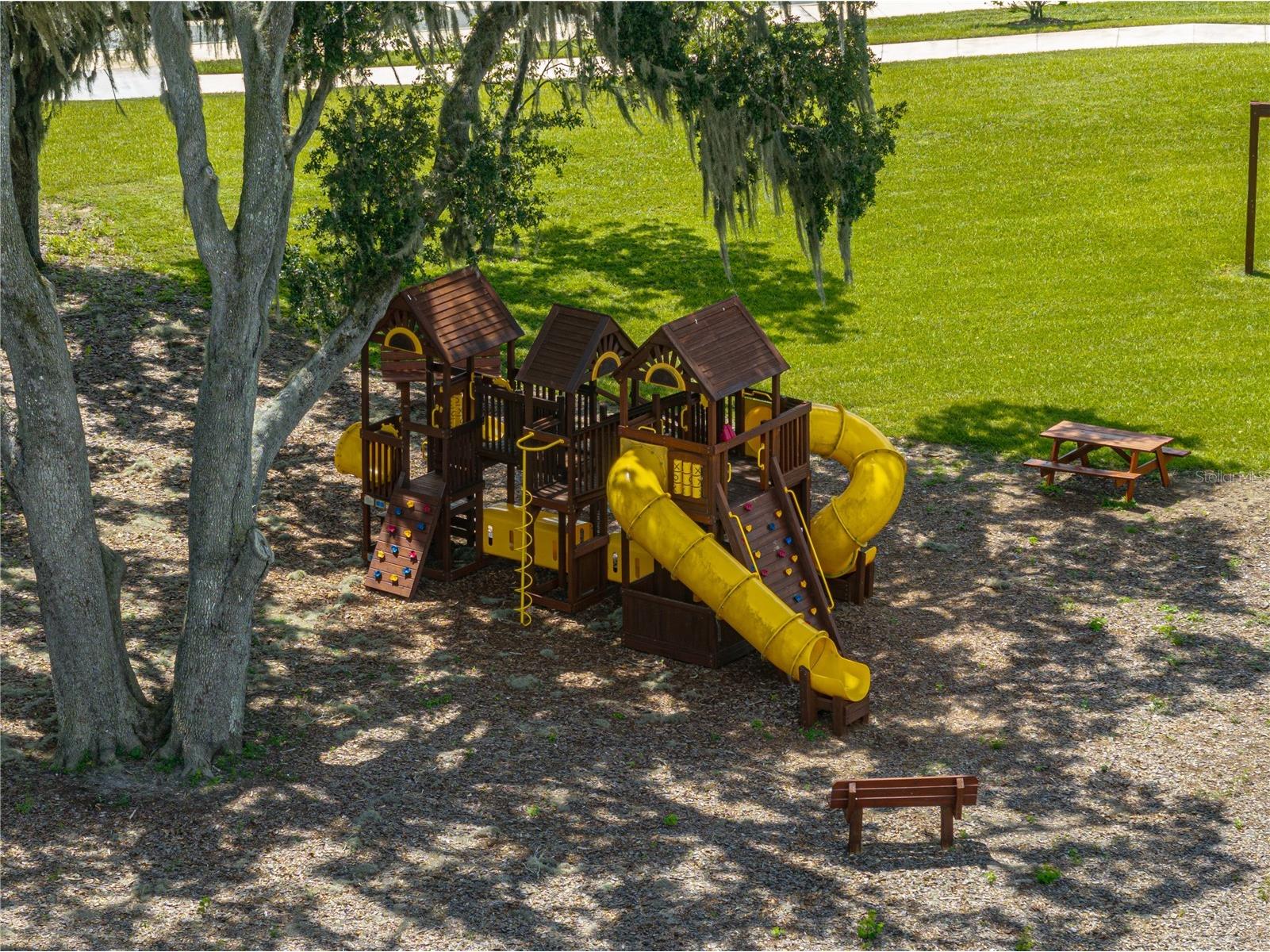 36727 Spanish Rose Drive Dade City FL 33525 TB8482037 image36