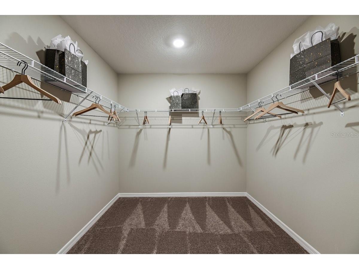 36728 Sagemoor Drive Zephyrhills FL 33541 TB8493715 image11