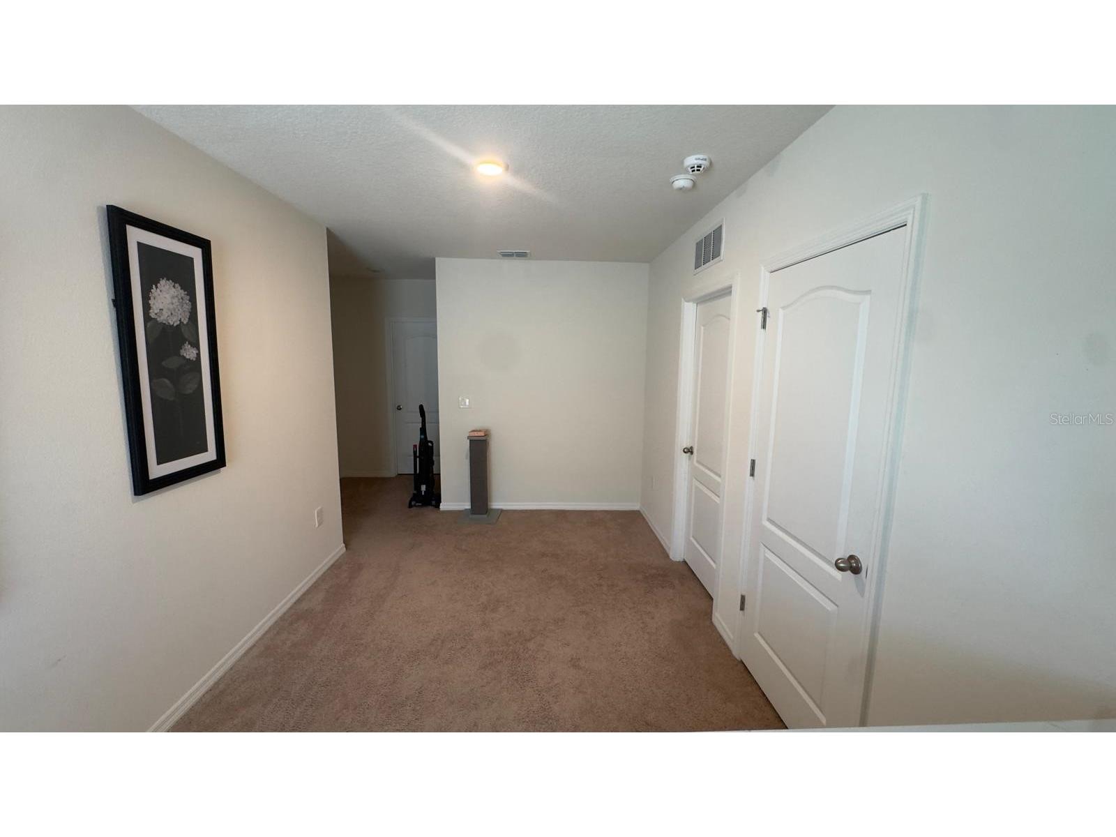 3673 Caspian Street Leesburg FL 34748 S5127004 image8