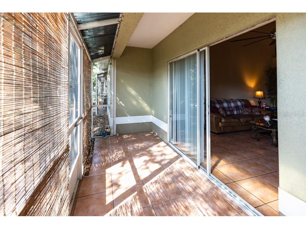 3673 Kings Road #102 Palm Harbor FL 34685 TB8348167 image38