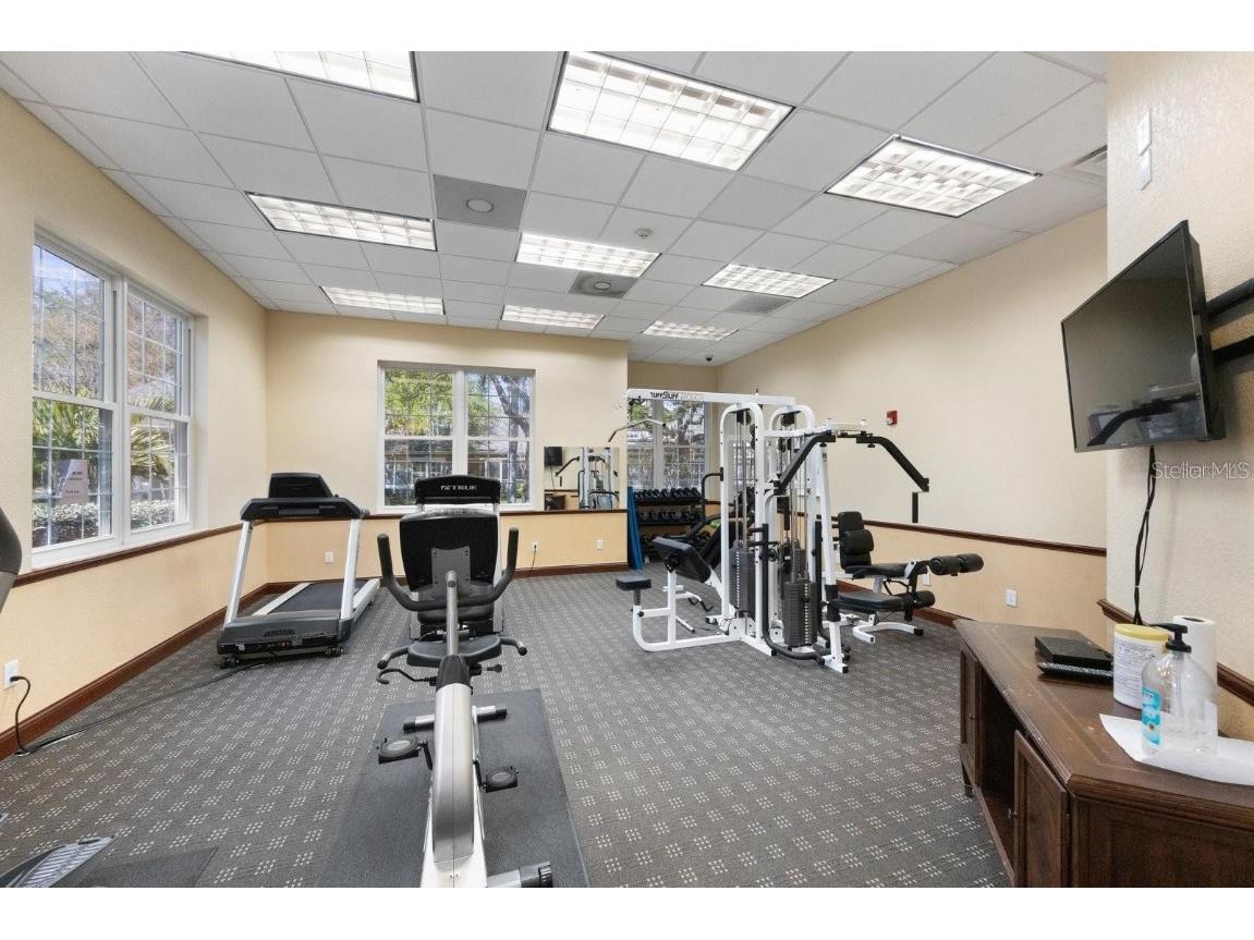 3673 Kings Road #102 Palm Harbor FL 34685 TB8348167 image7