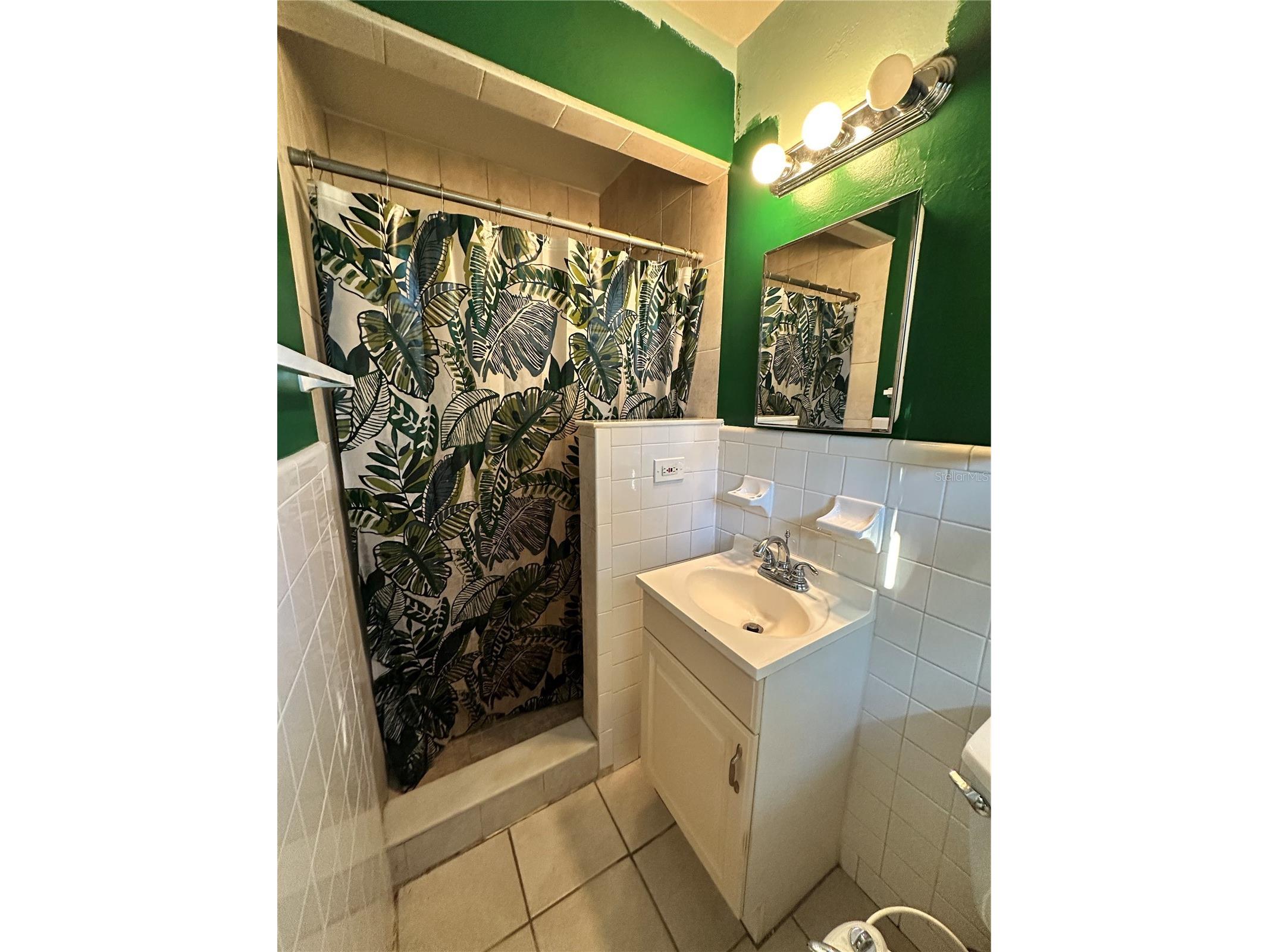 3673 Searobin Drive SE Saint Petersburg FL 33705 TB8442706 image25