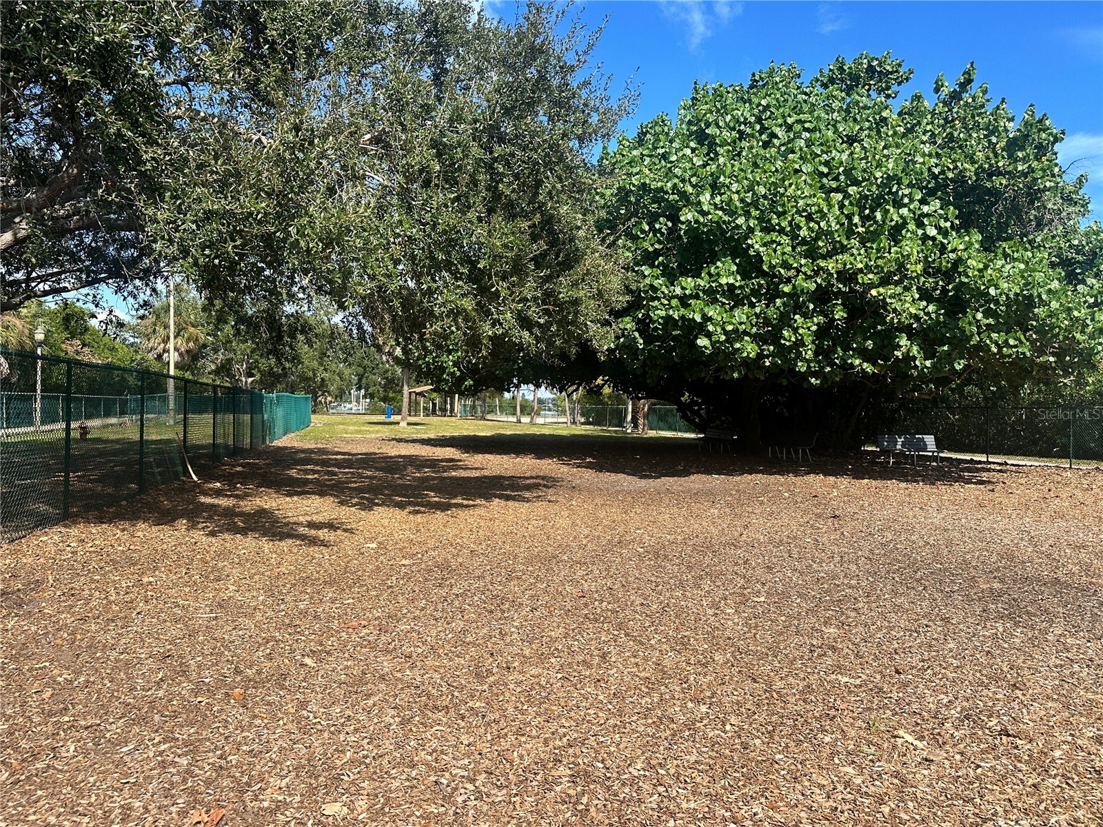 3673 Searobin Drive SE Saint Petersburg FL 33705 TB8442706 image37