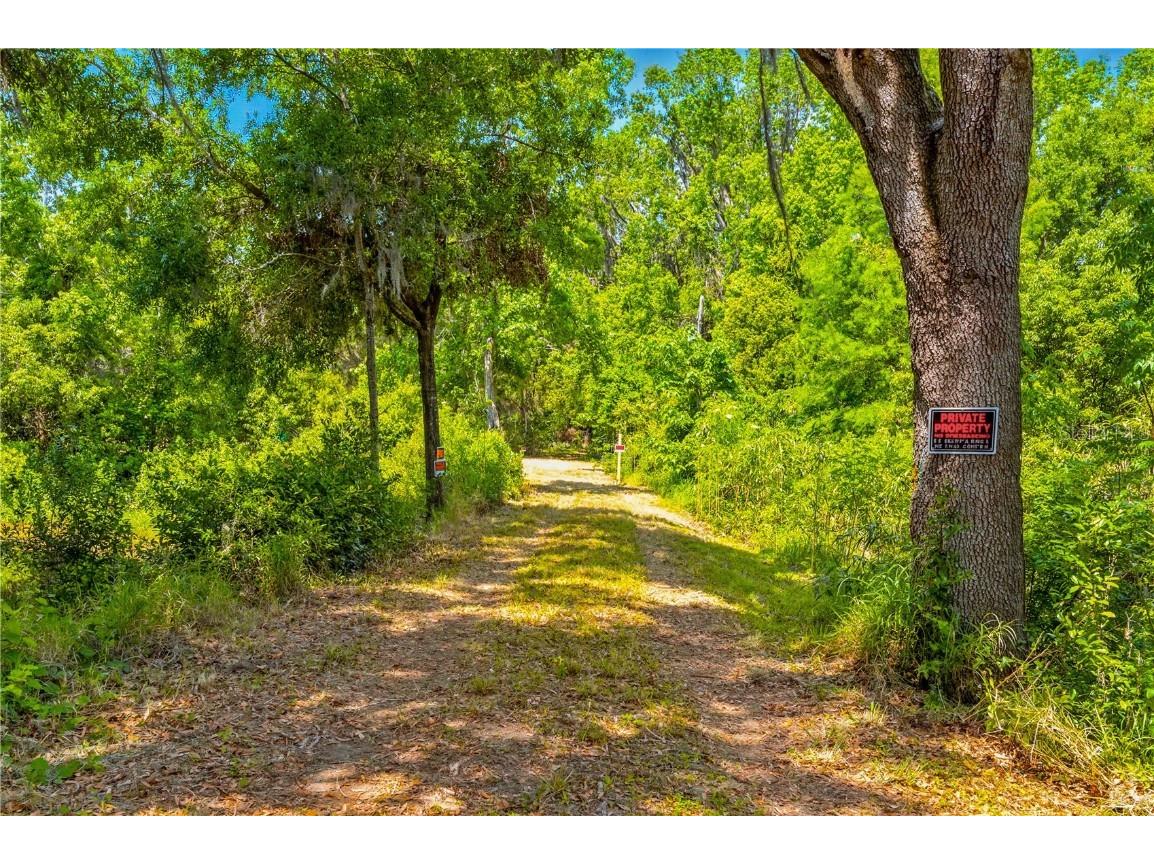 36730 Ob Won Way Dade City FL 33525 - LAKE PASADENA TB8378575 image10