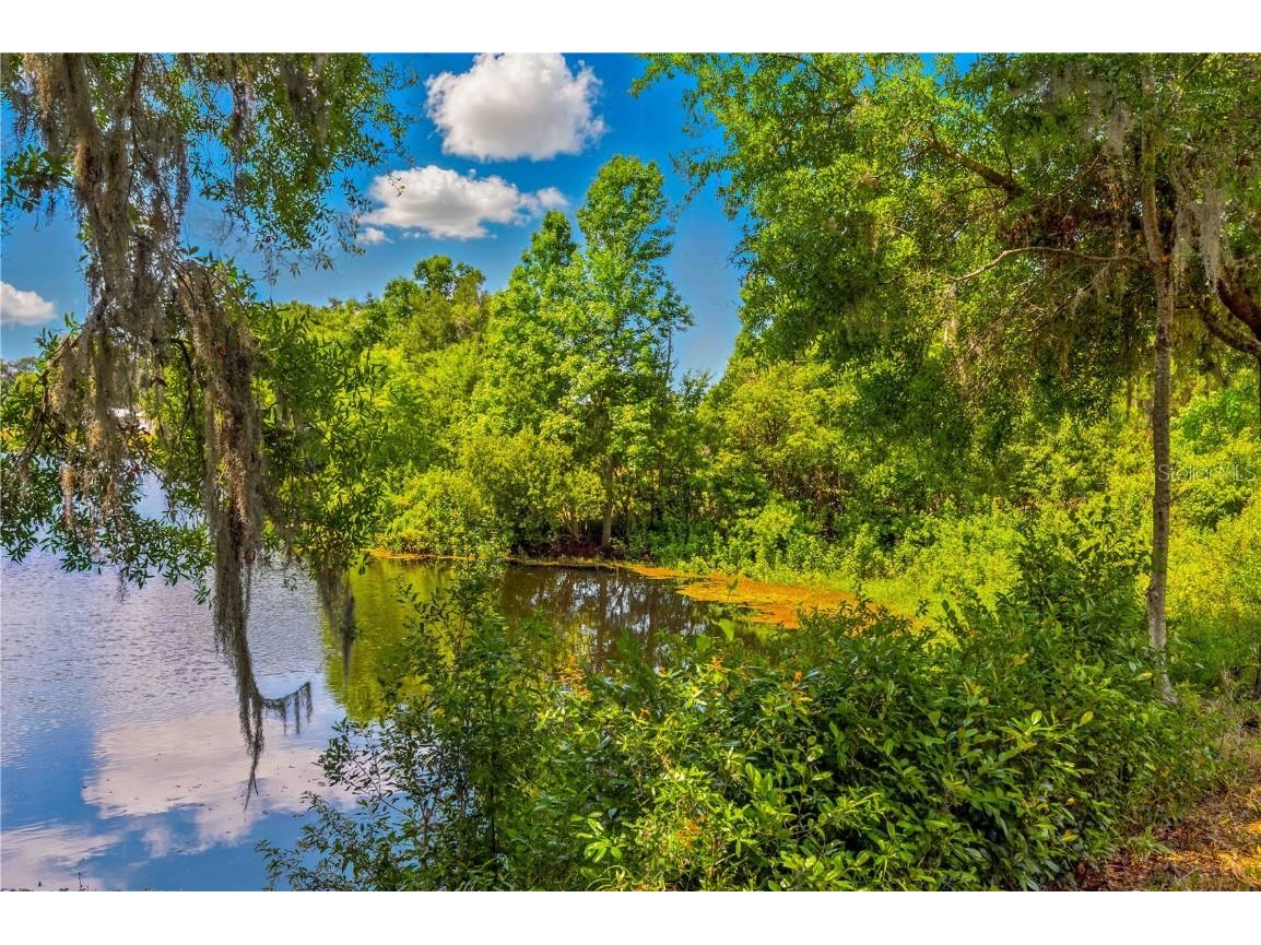 36730 Ob Won Way Dade City FL 33525 - LAKE PASADENA TB8378575 image11