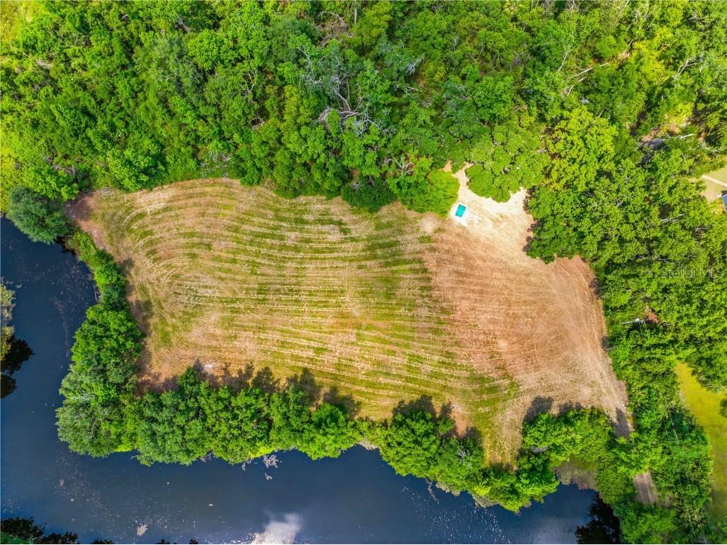 36730 Ob Won Way Dade City FL 33525 - LAKE PASADENA TB8378575 image20