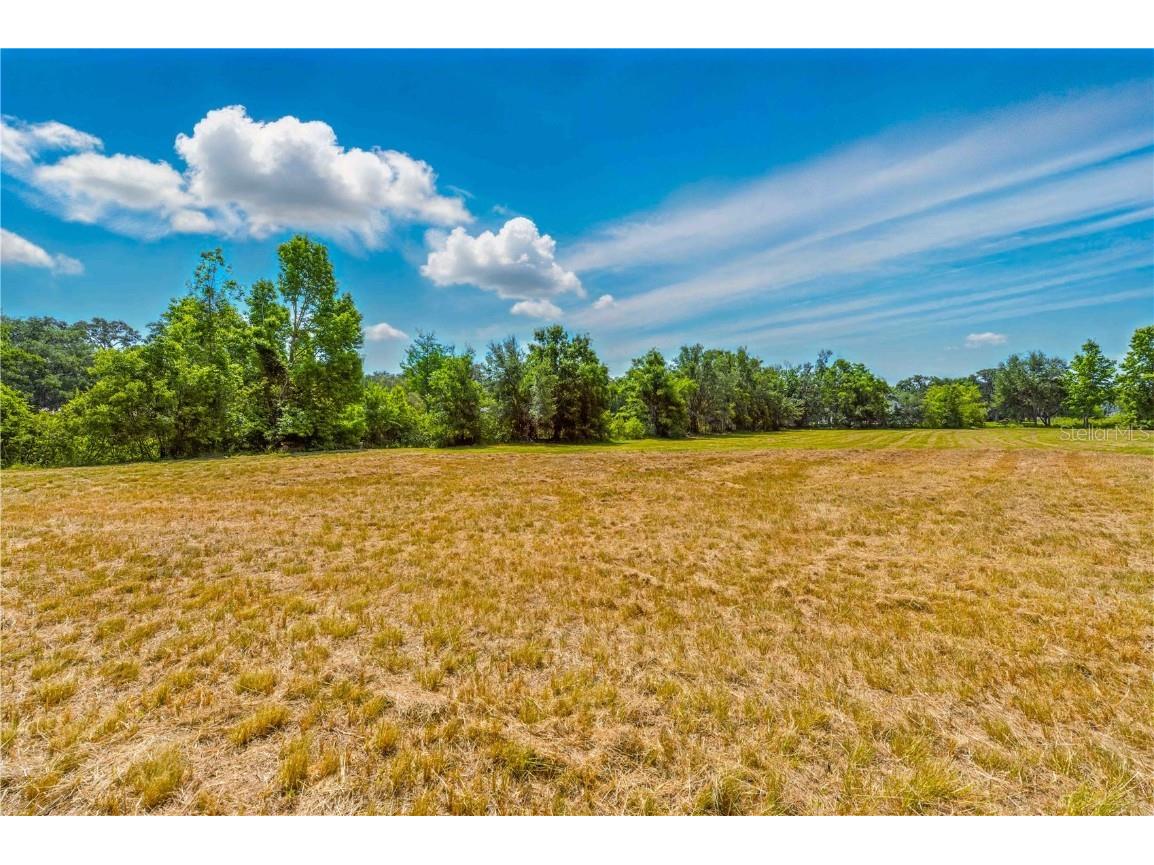 36730 Ob Won Way Dade City FL 33525 - LAKE PASADENA TB8378575 image4