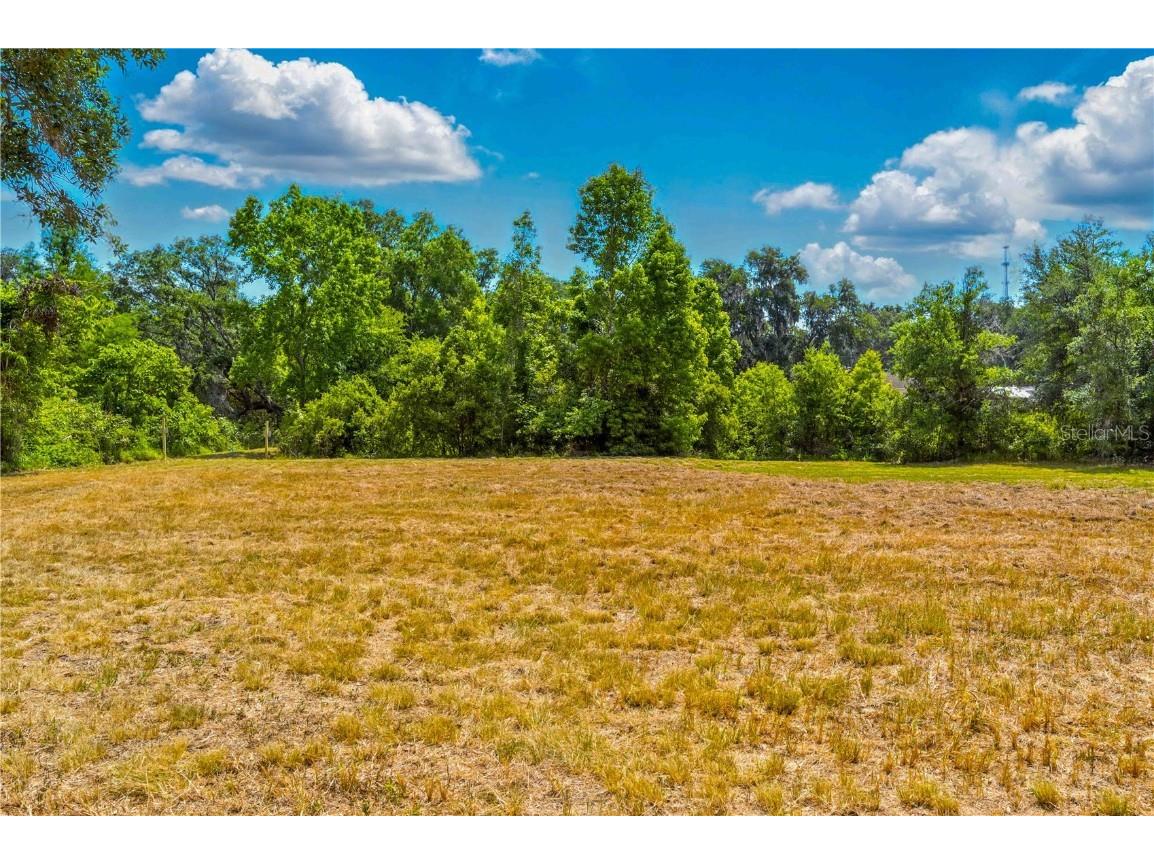 36730 Ob Won Way Dade City FL 33525 - LAKE PASADENA TB8378575 image6