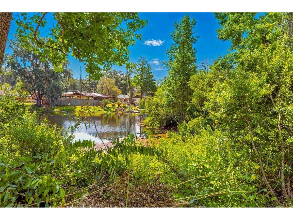 36730 Ob Won Way Dade City FL 33525 - LAKE PASADENA TB8378575 image9