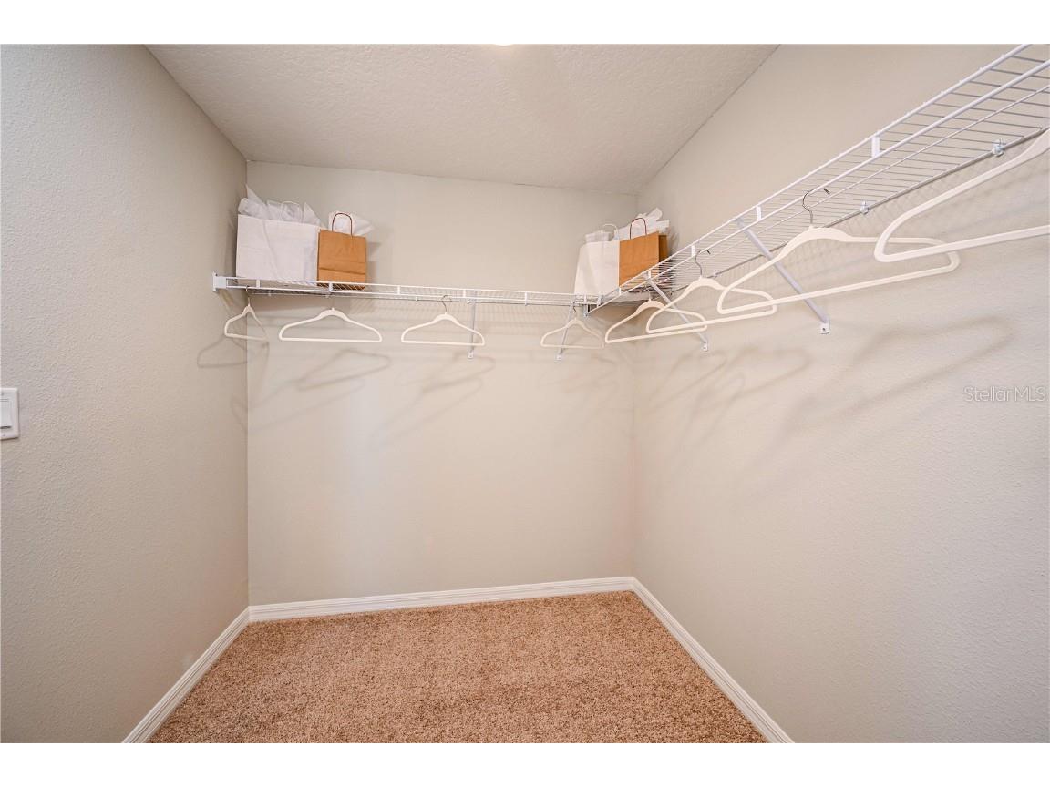 36736 Sagemoor Drive Zephyrhills FL 33541 TB8455420 image15