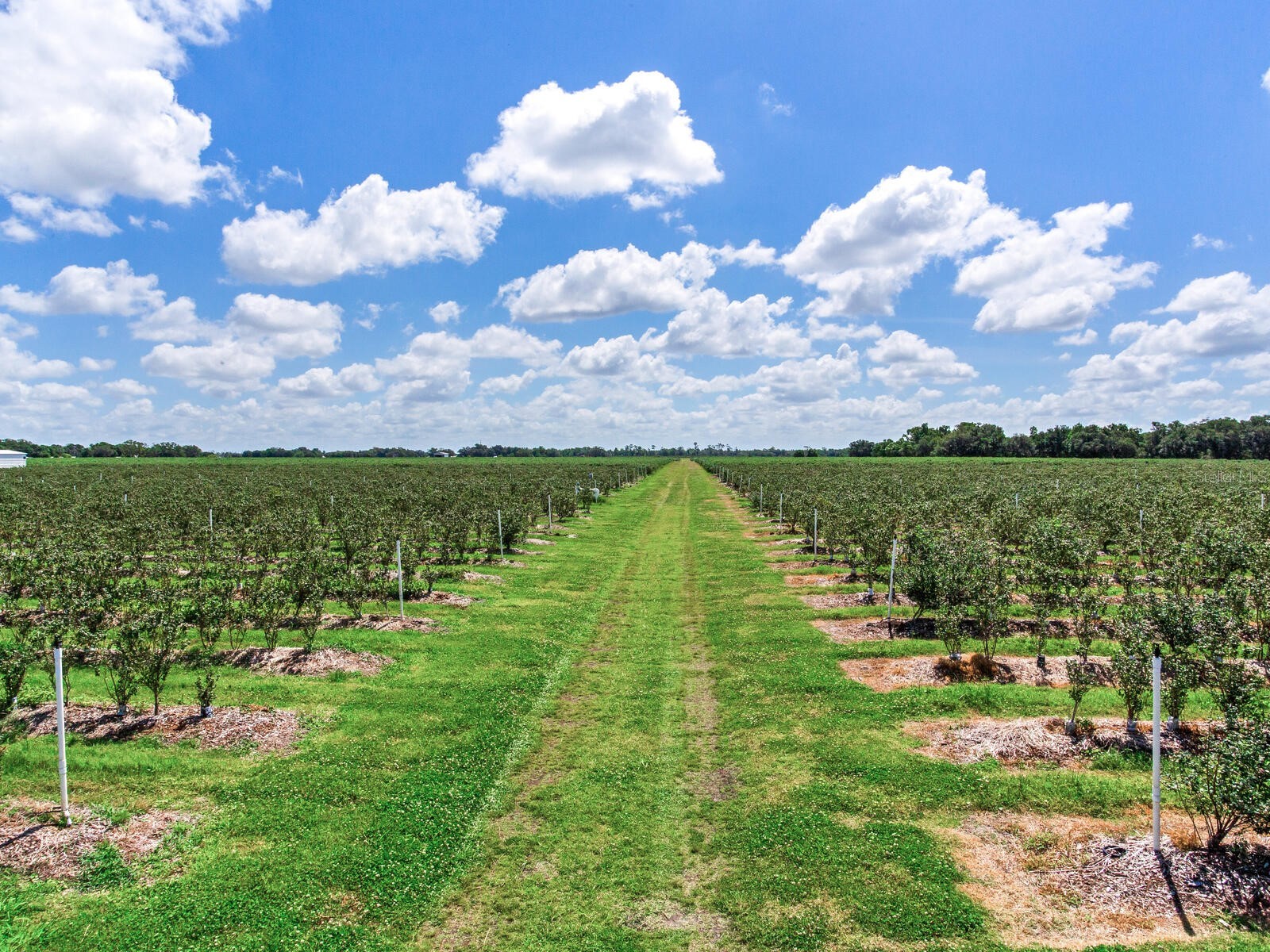 3674 E State Road 64 Zolfo Springs FL 33890 TB8498713 image10