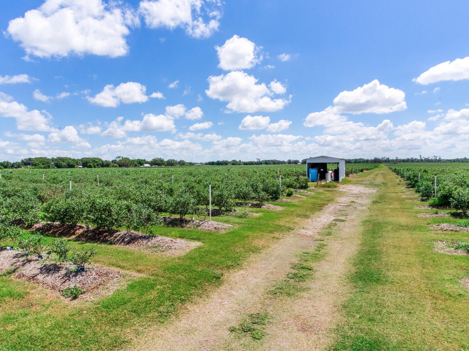 3674 E State Road 64 Zolfo Springs FL 33890 TB8498713 image25