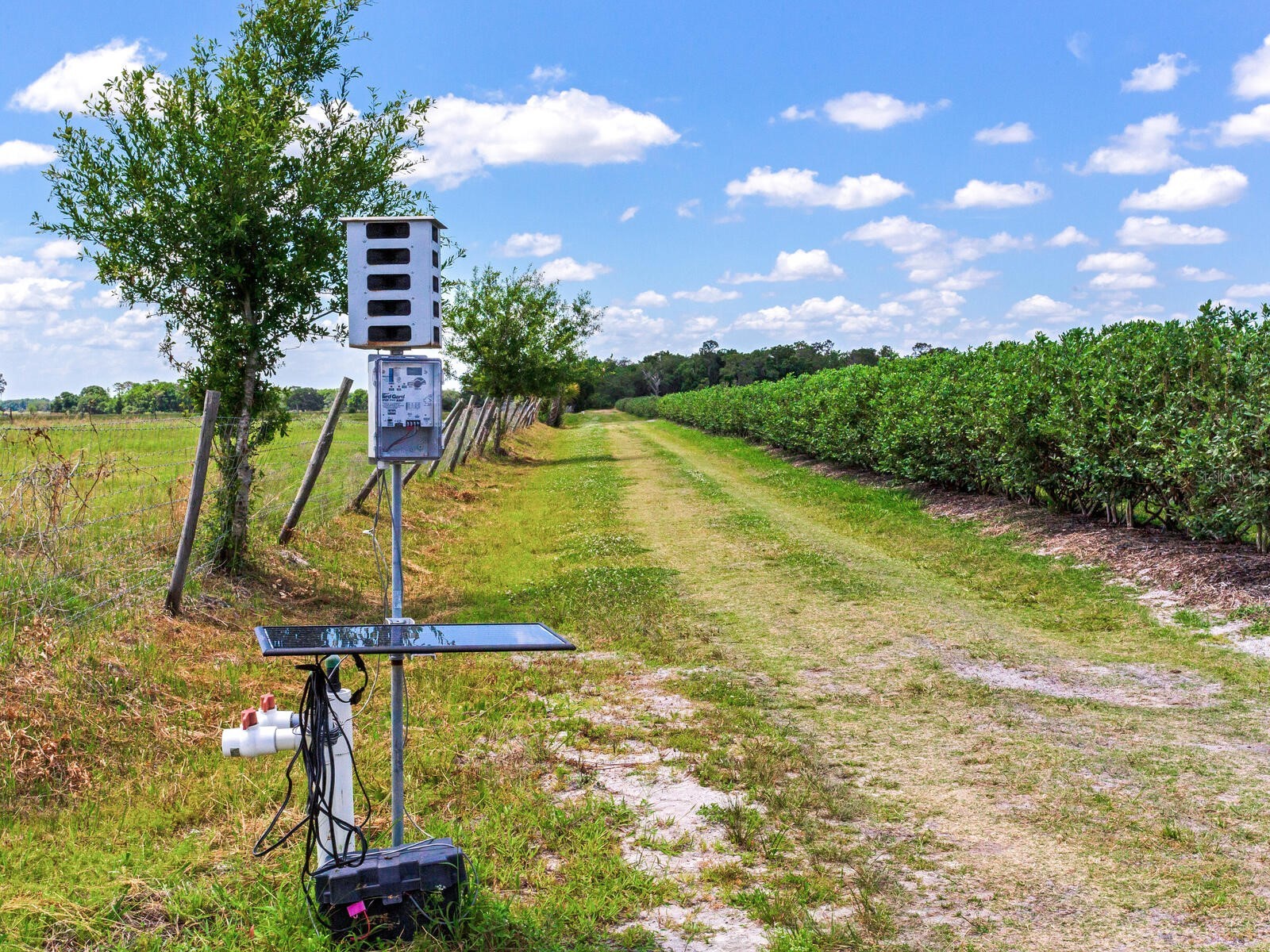 3674 E State Road 64 Zolfo Springs FL 33890 TB8498713 image48