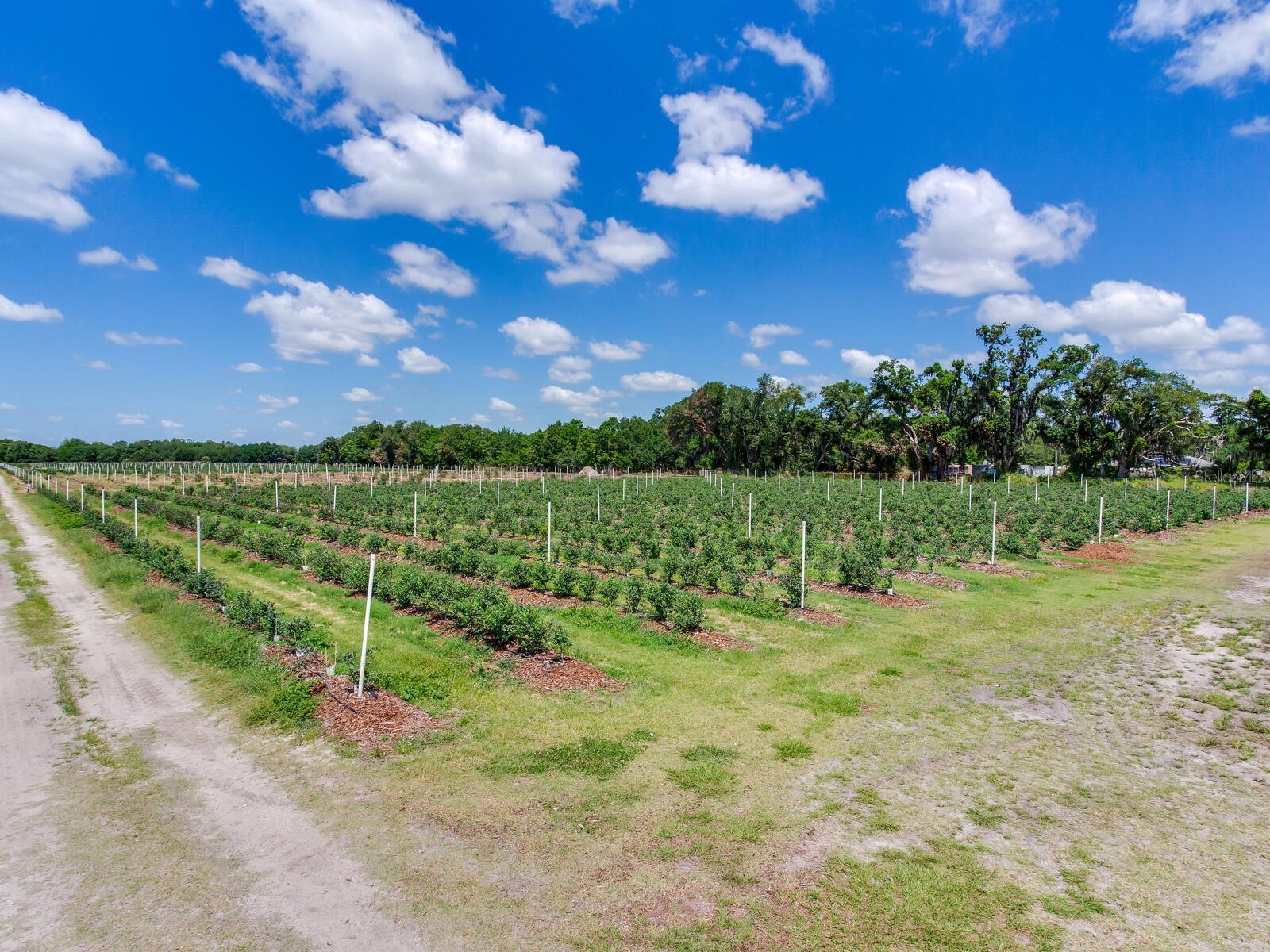 3674 E State Road 64 Zolfo Springs FL 33890 TB8498713 image53