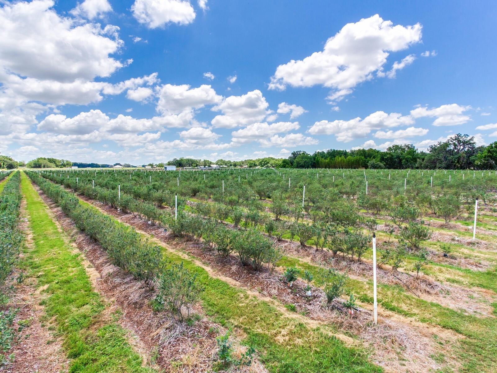 3674 E State Road 64 Zolfo Springs FL 33890 TB8498713 image66
