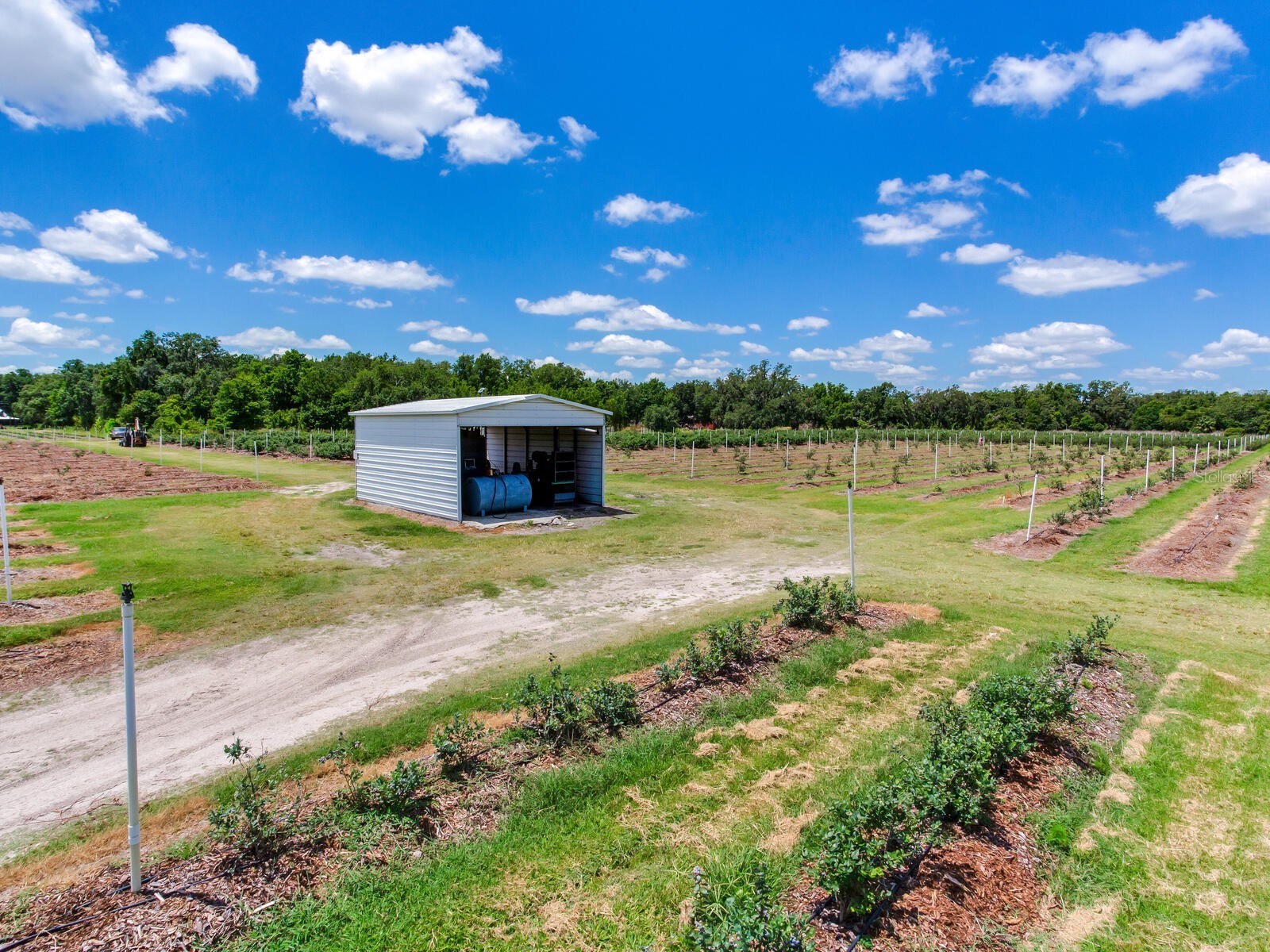 3674 E State Road 64 Zolfo Springs FL 33890 TB8498713 image69