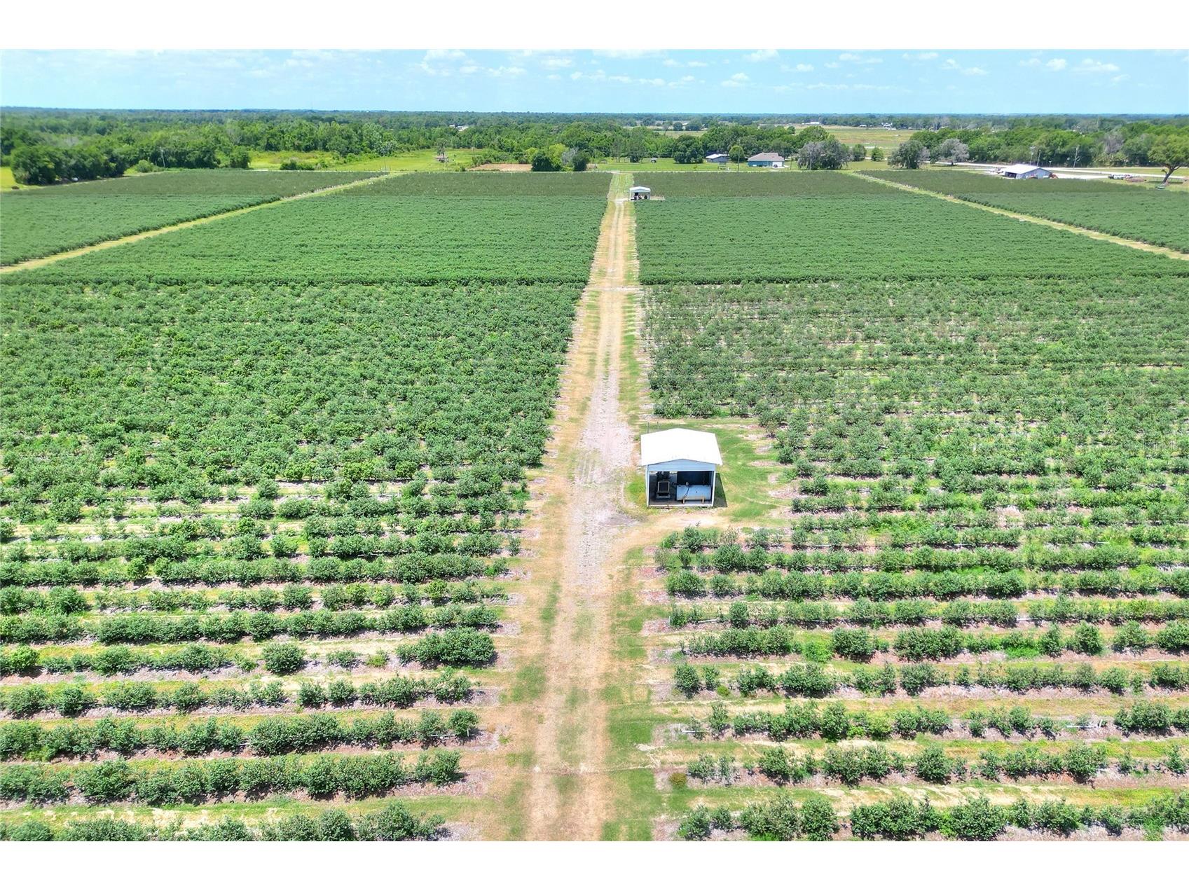 3674 E State Road 64 Zolfo Springs FL 33890 TB8498713 image7