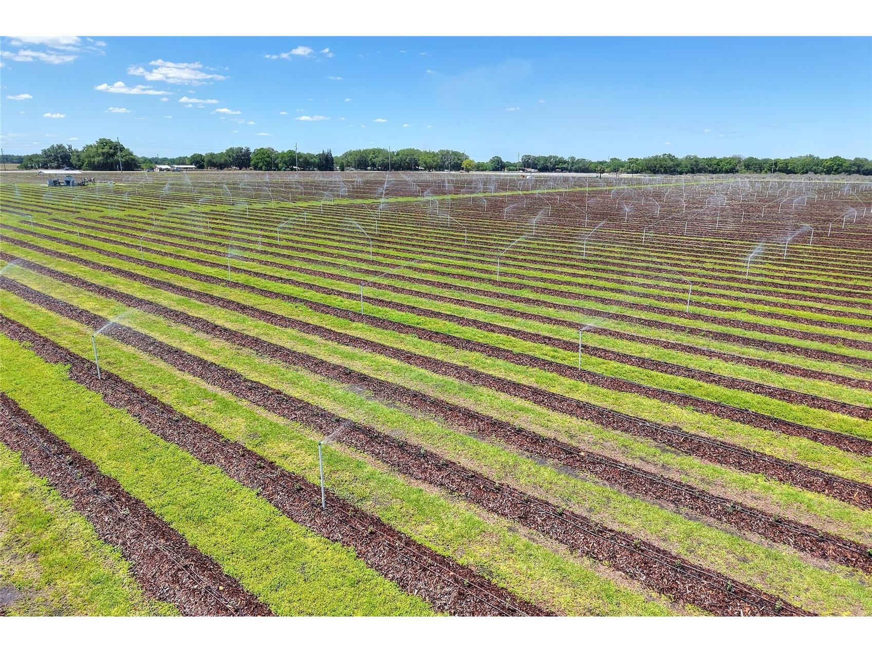 3674 E State Road 64 Zolfo Springs FL 33890 TB8498713 image78