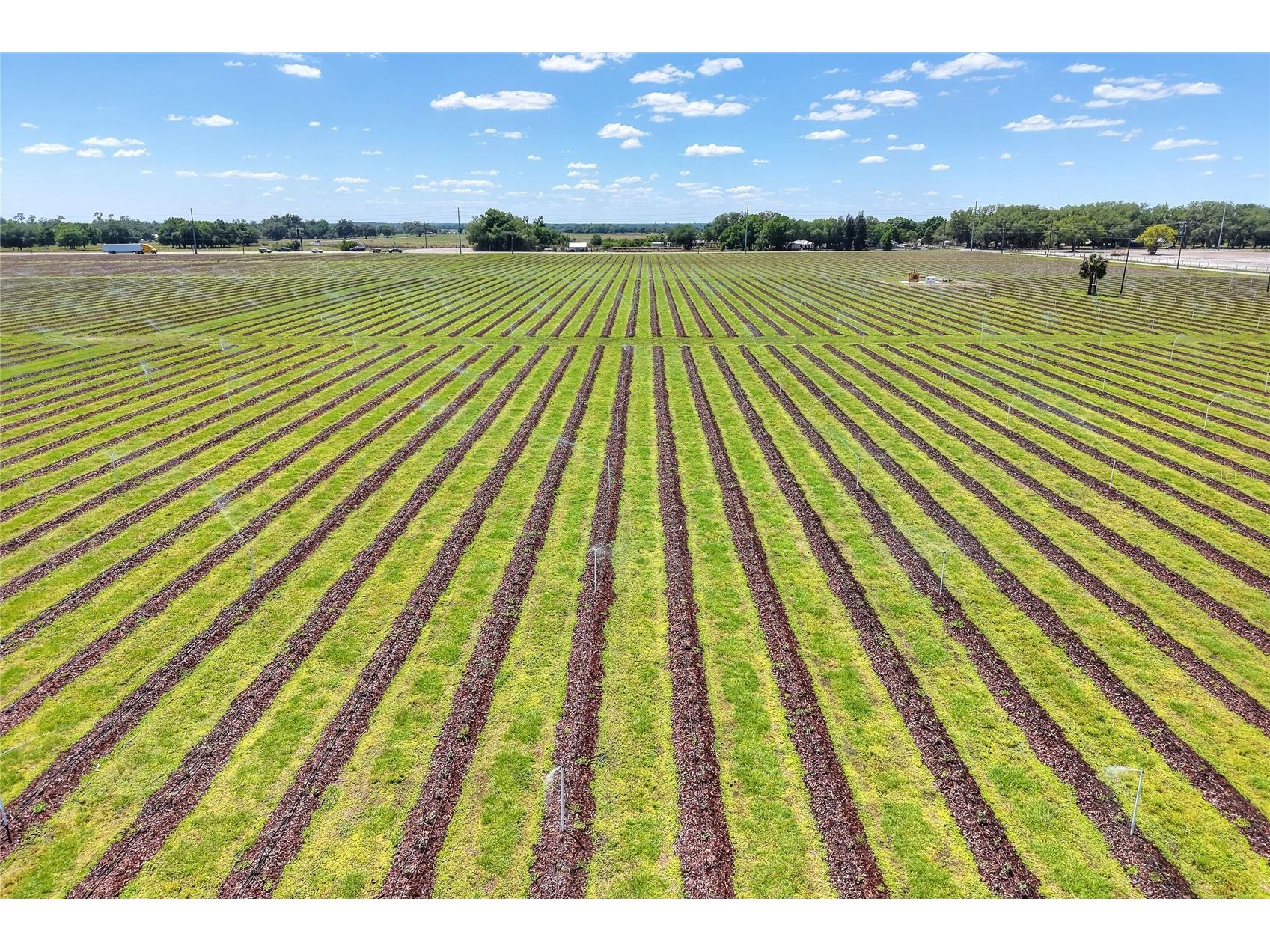 3674 E State Road 64 Zolfo Springs FL 33890 TB8498713 image79