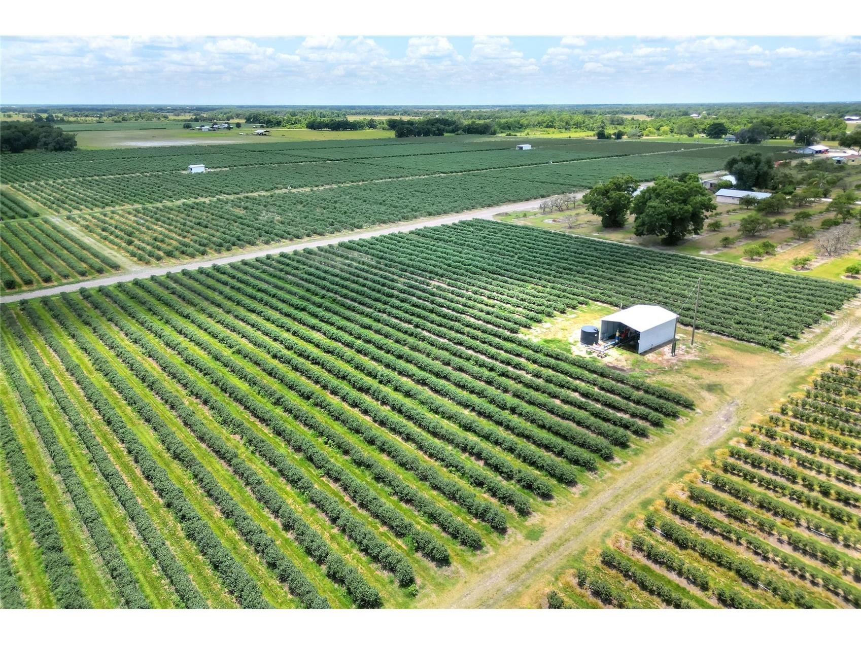 3674 E State Road 64 Zolfo Springs FL 33890 TB8498713 image8