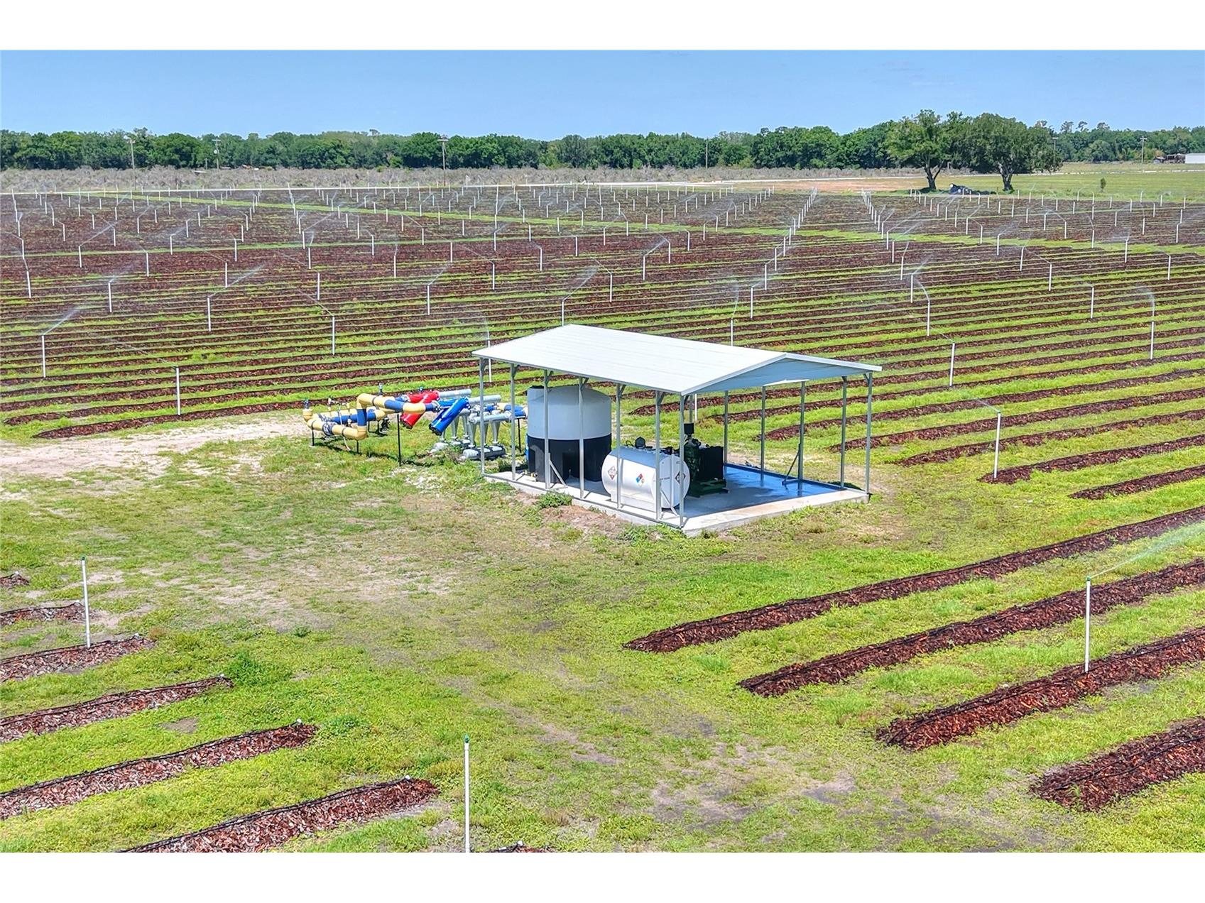 3674 E State Road 64 Zolfo Springs FL 33890 TB8498713 image80