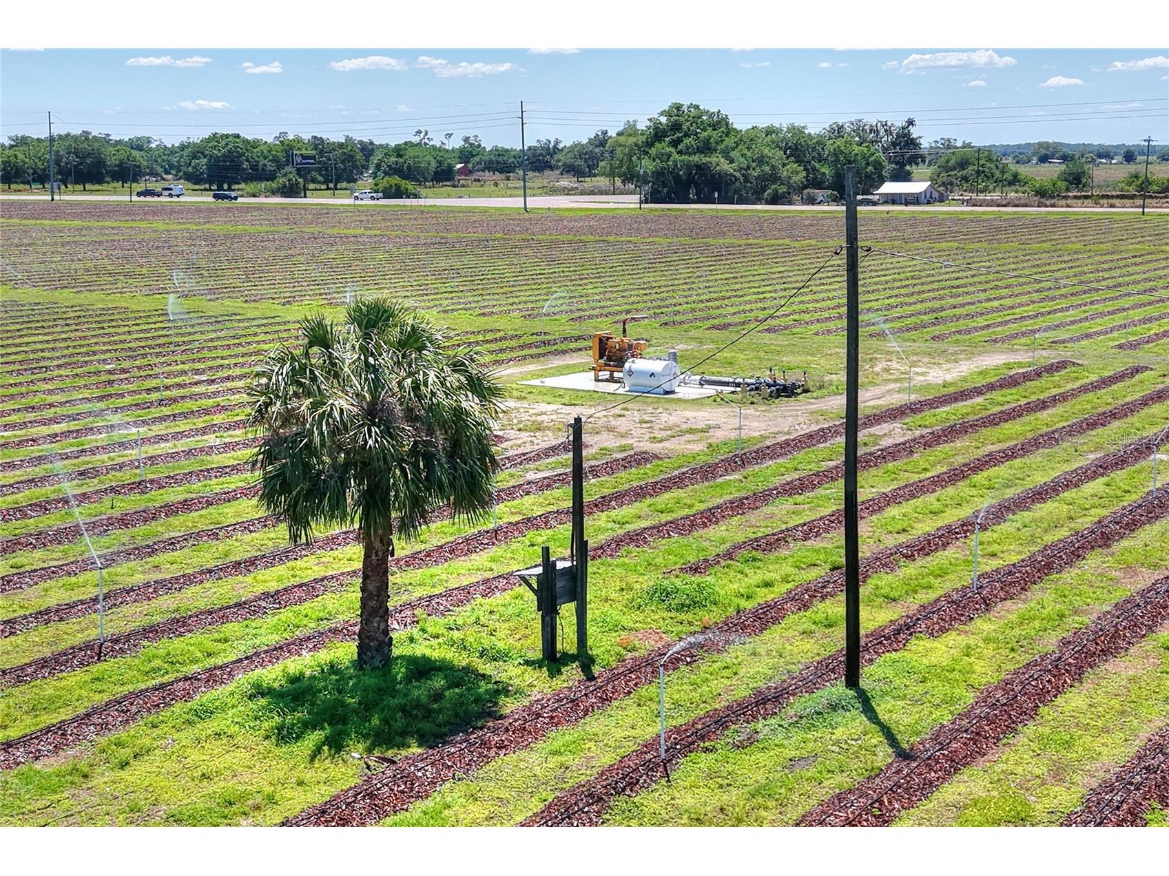 3674 E State Road 64 Zolfo Springs FL 33890 TB8498713 image87