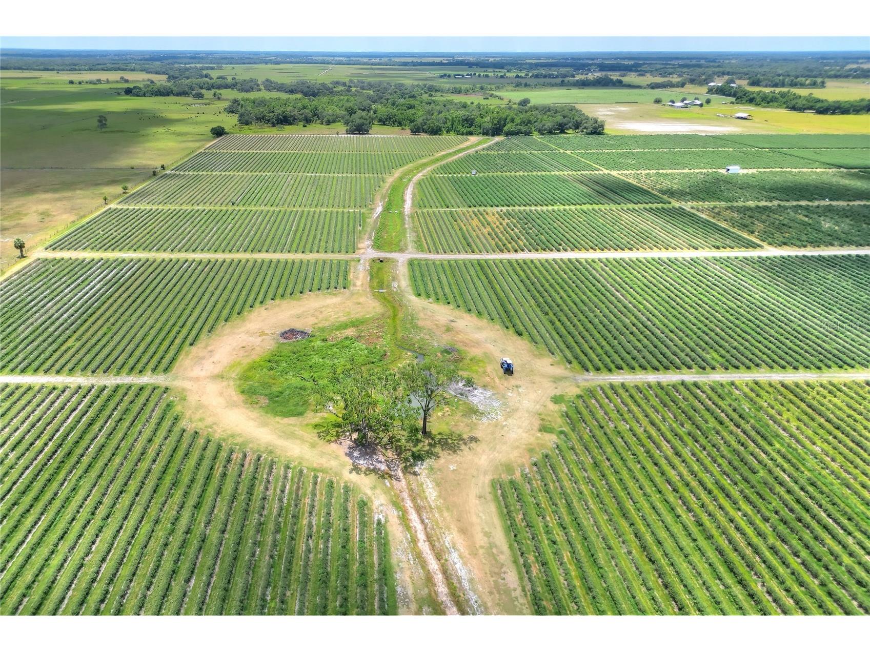 3674 E State Road 64 Zolfo Springs FL 33890 TB8498713 image9